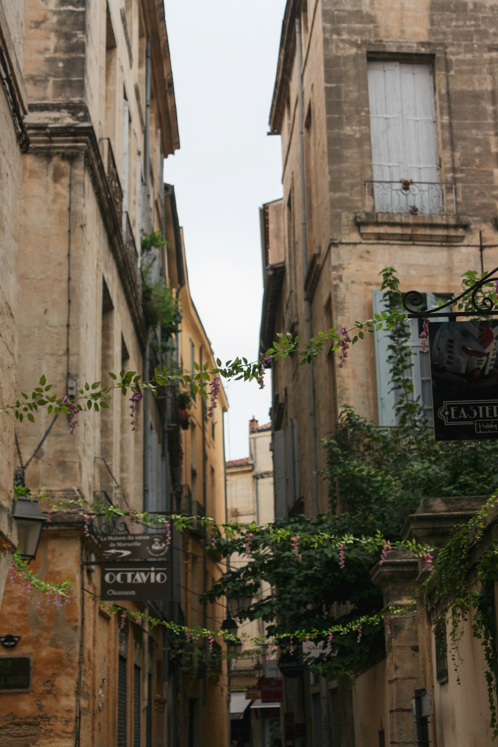 Una strada stretta con alcuni edifici su entrambi i lati