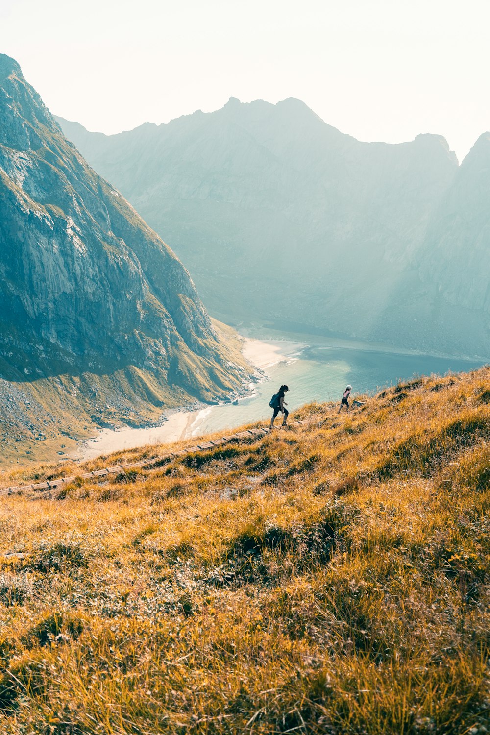 a couple of people walking up a grassy hill