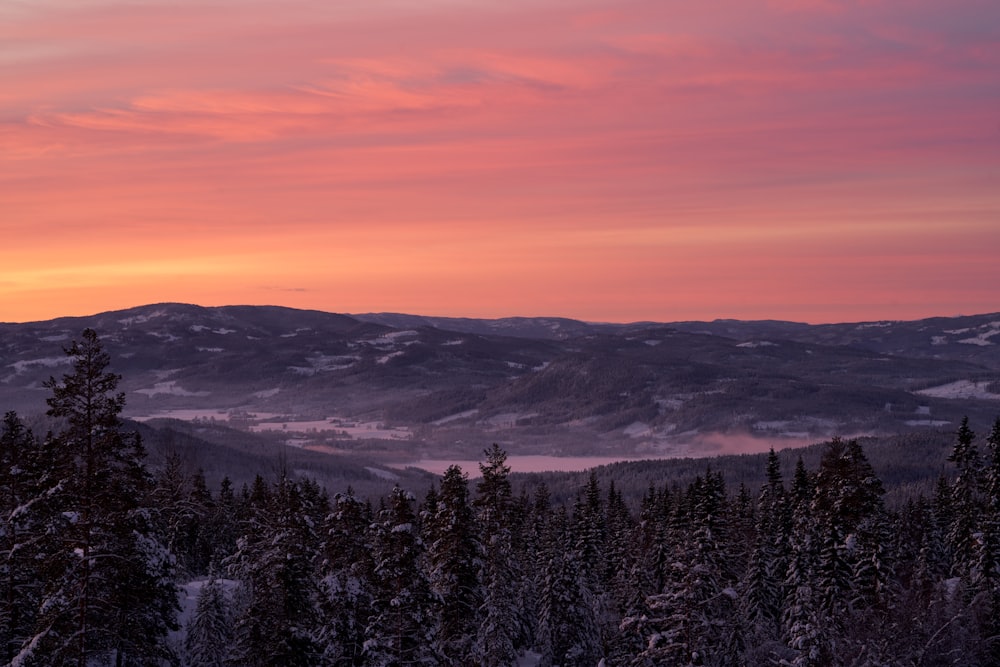 a sunset view of a mountain range with trees in the foreground