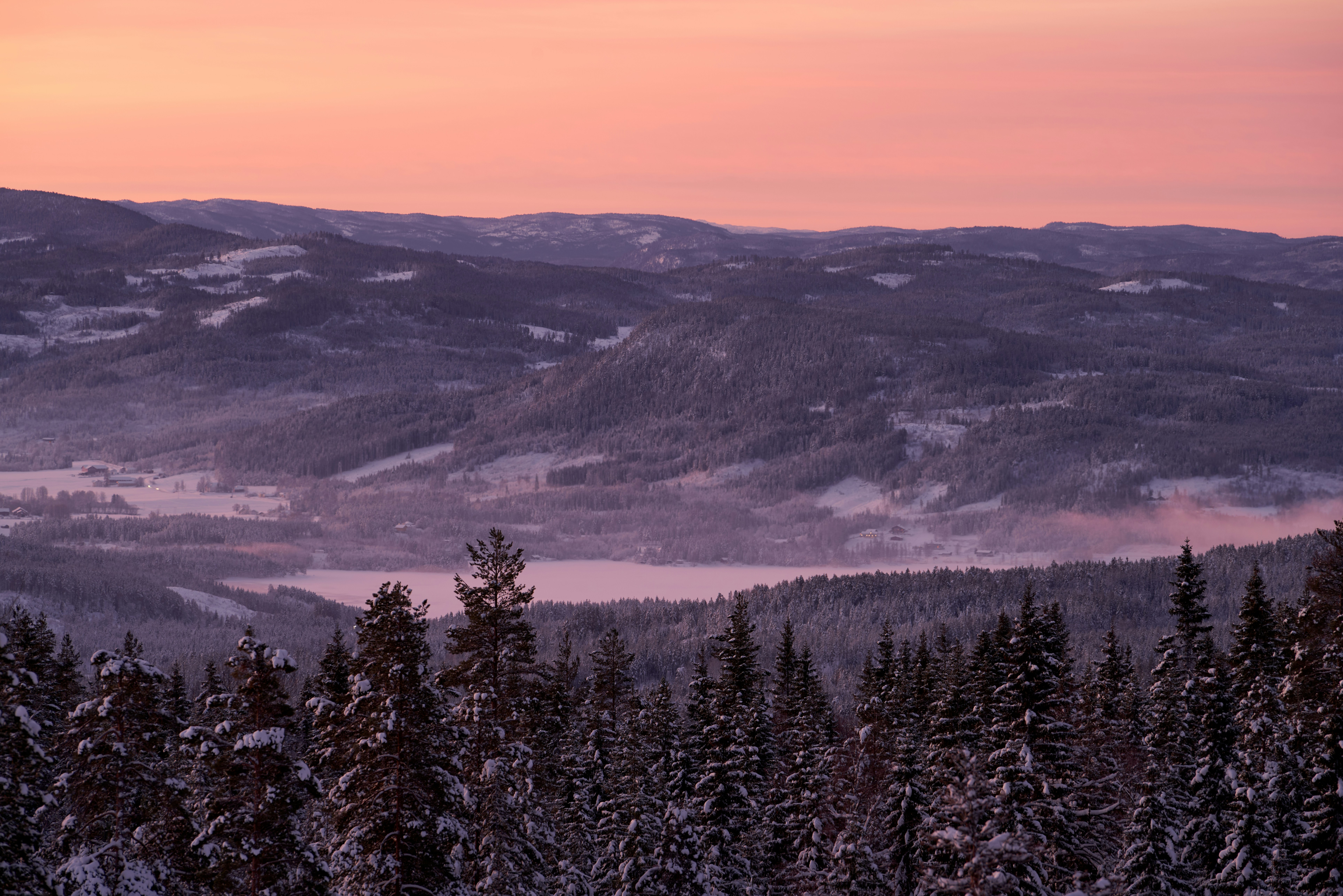 Photo by davotibarna