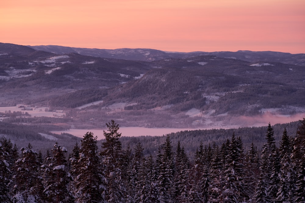 a view of a snowy mountain range with trees in the foreground