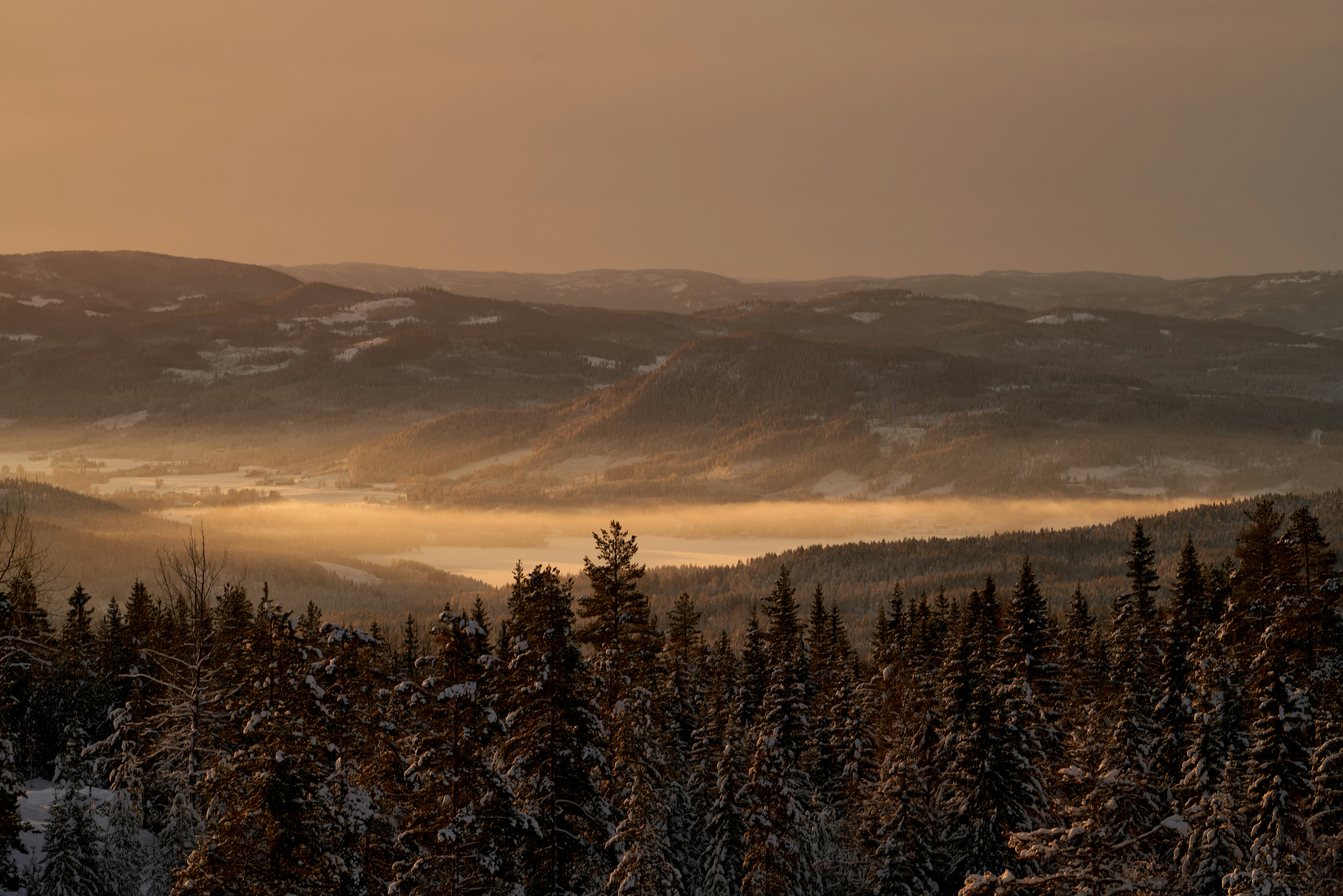 Photo by davotibarna