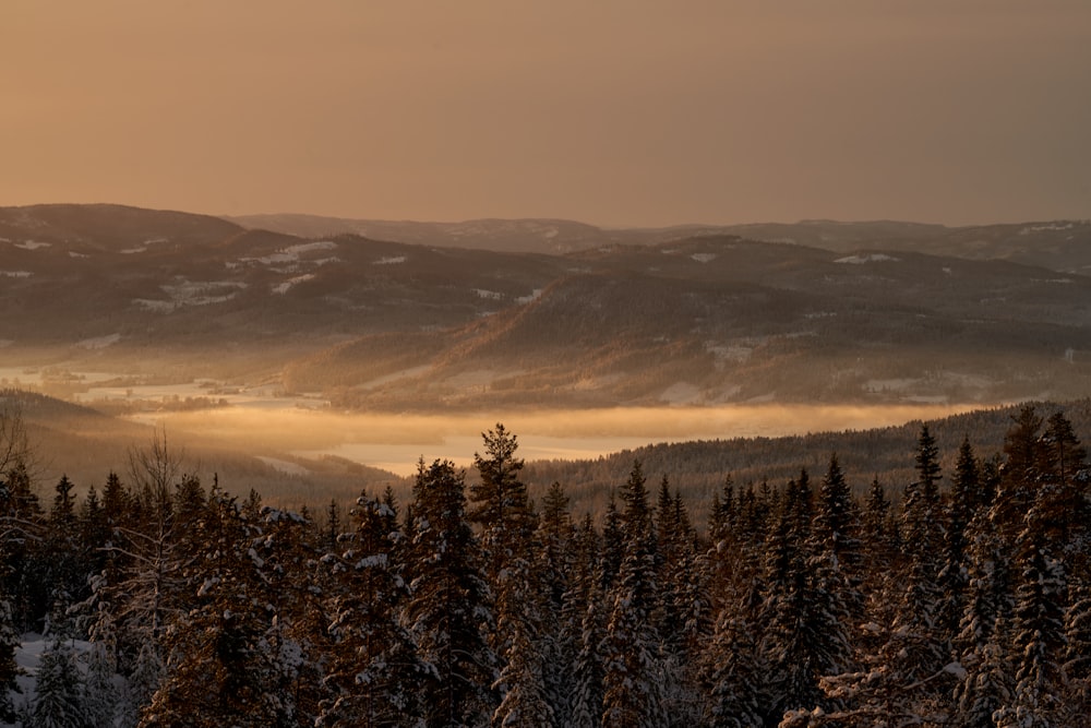 a view of a mountain range covered in snow