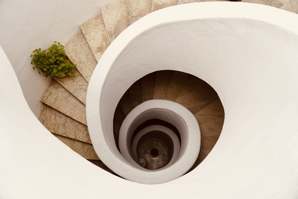 uma escada em espiral com uma planta crescendo fora dela