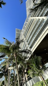 Modern condo building in Cancun with blue sky and palm trees.