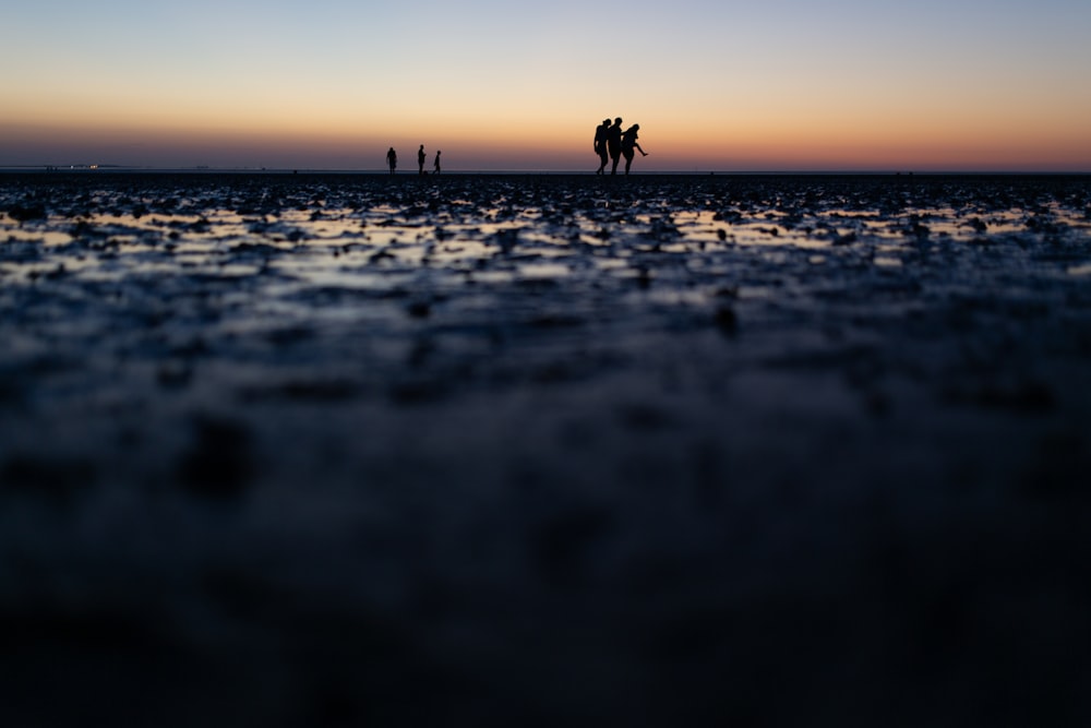 a group of people standing on top of a beach