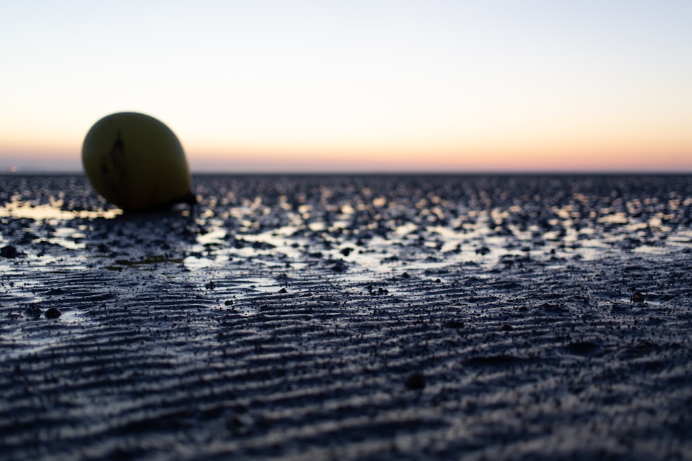 una mela seduta in cima a una spiaggia bagnata