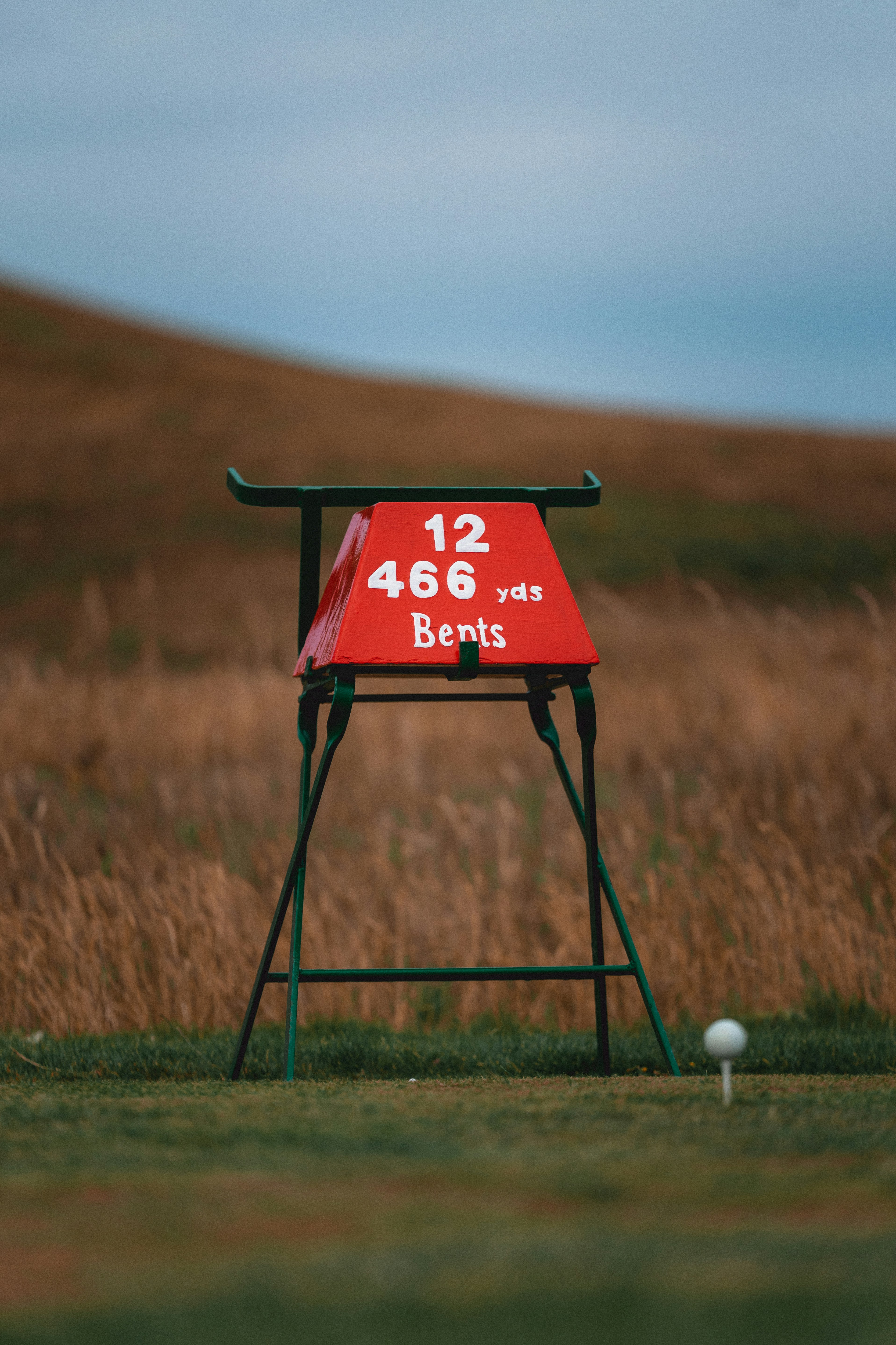 12 Golf Basics Explained Simply for New Players
