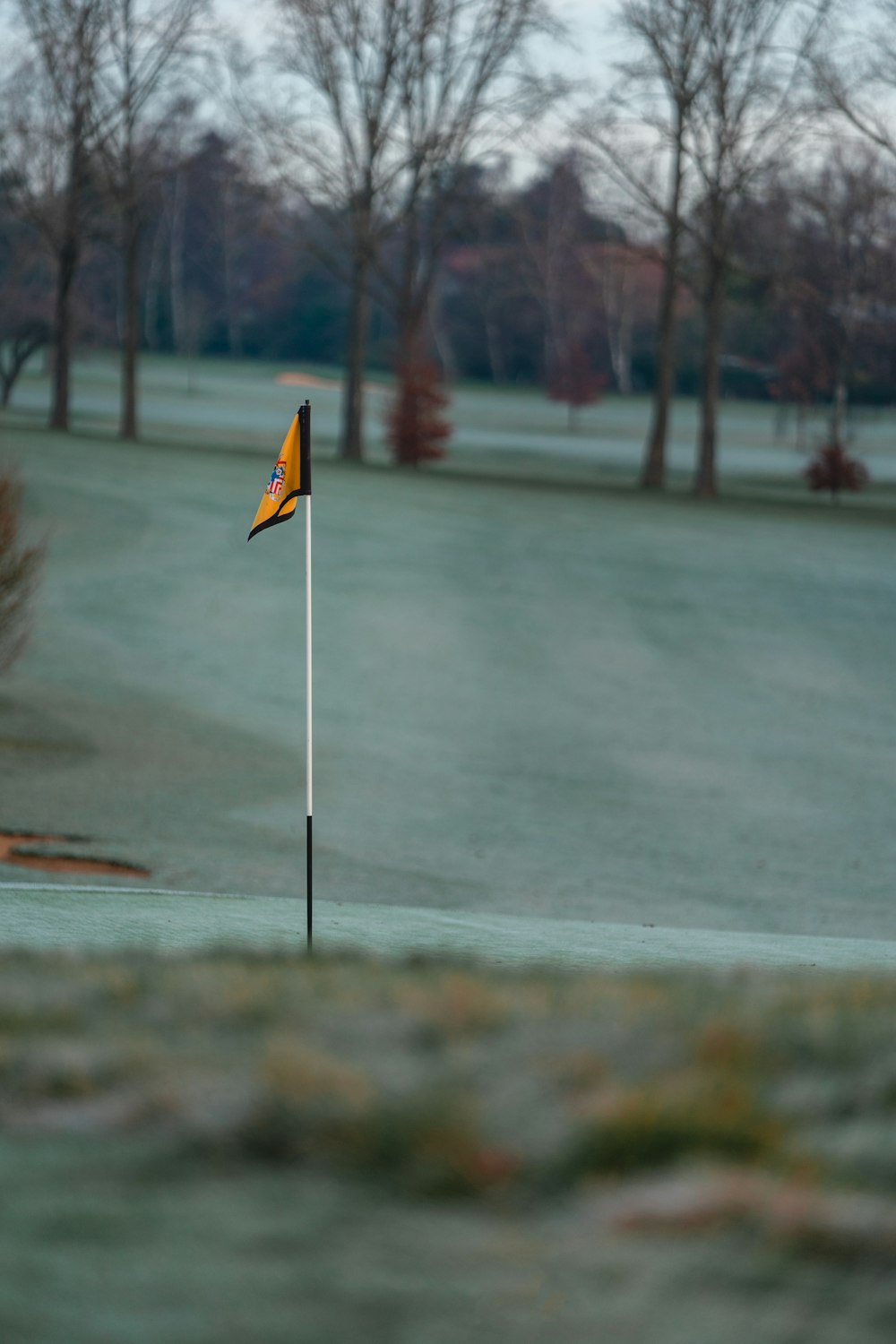a yellow and black flag on a golf course