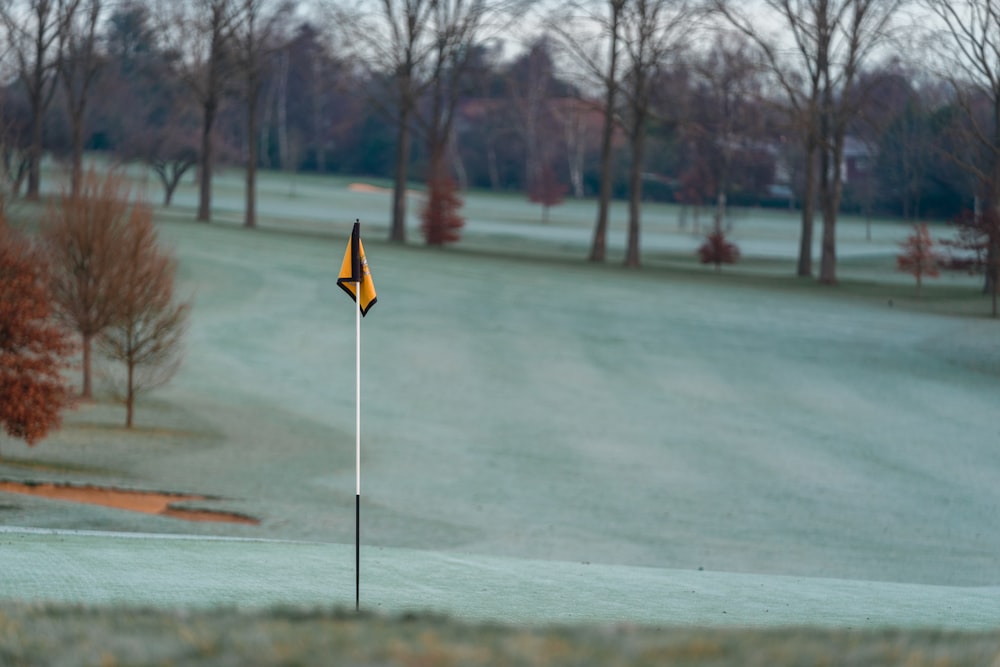 a golf green with a yellow flag on it