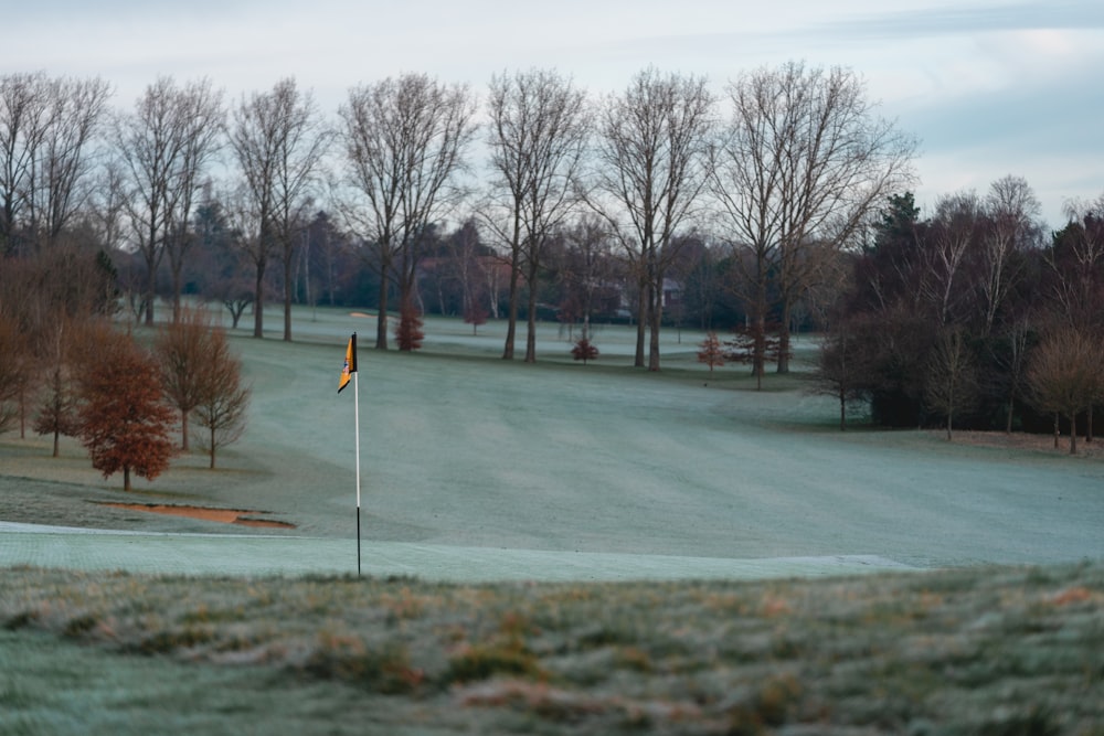 a view of a golf course from a distance