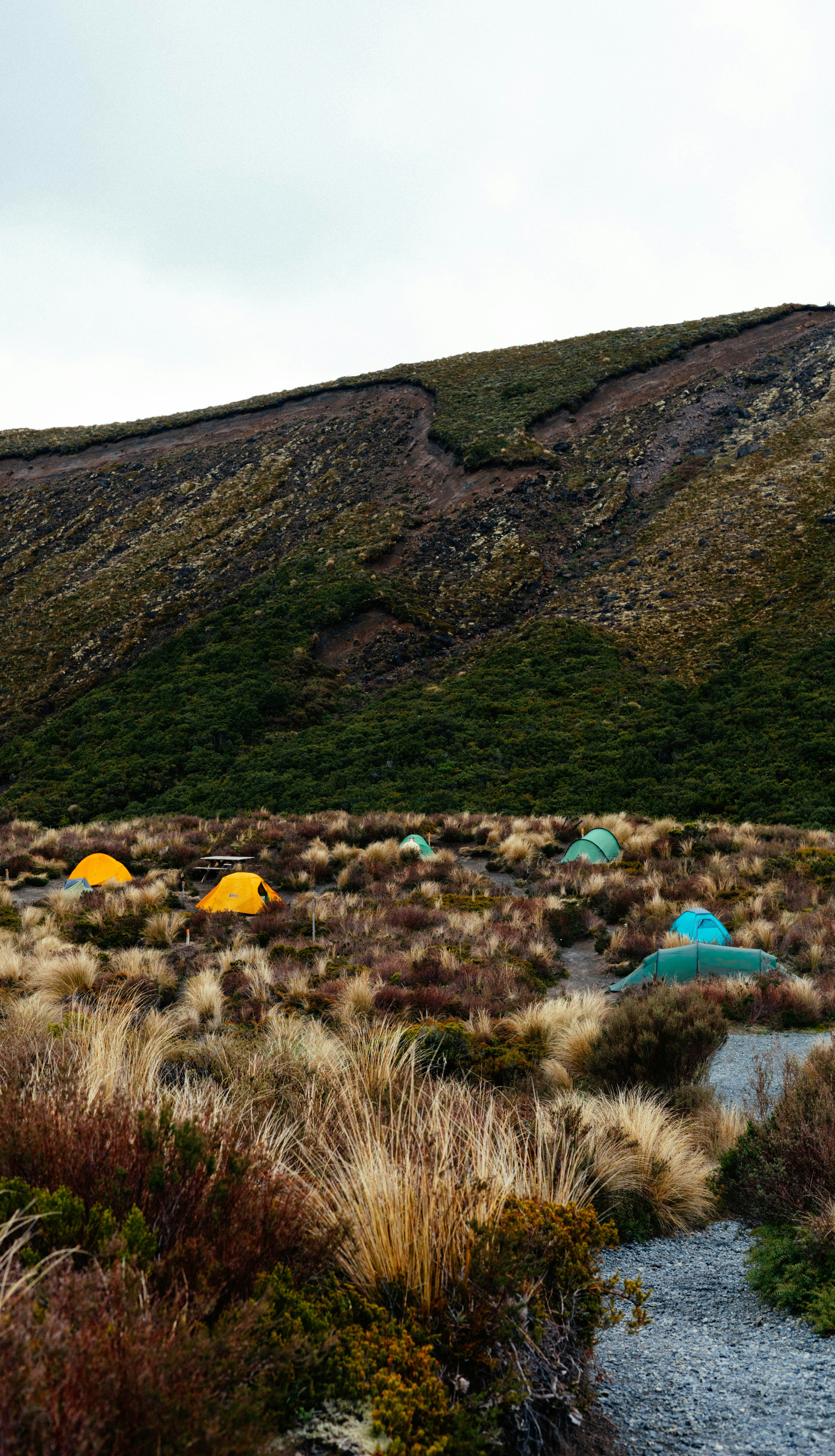 there are many tents set up in the field