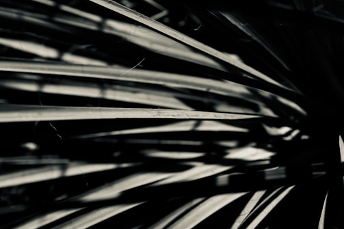 Abstract dark art piece with deep shadows and highlights.