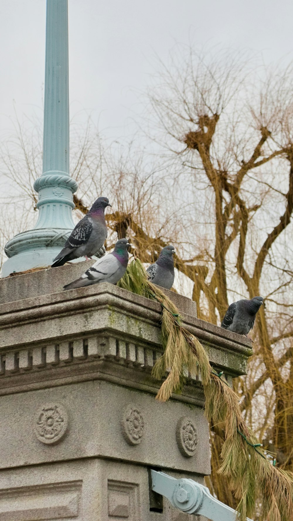 a flock of pigeons sitting on top of a monument