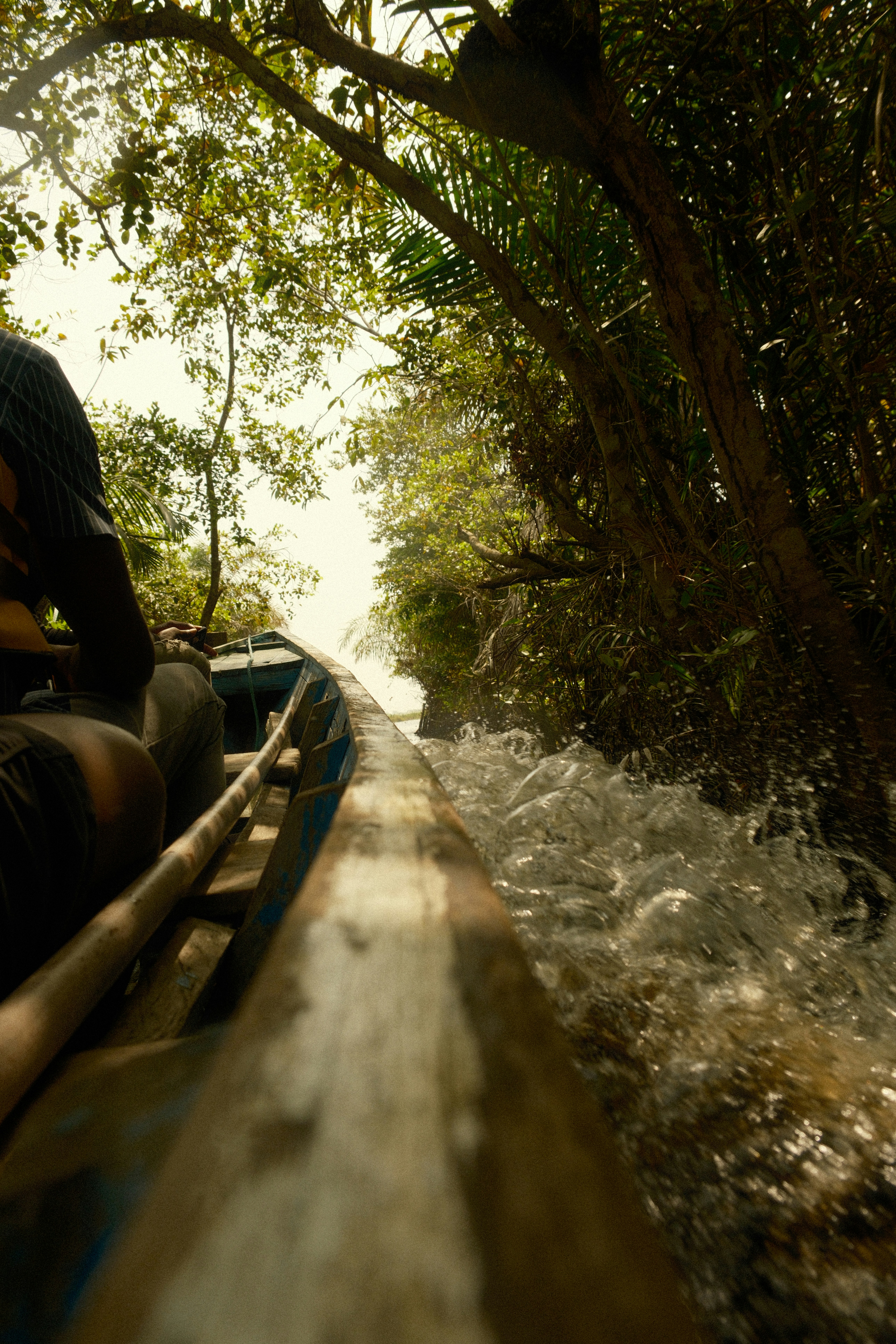 Passagers à bord d'une pirogue motorisée qui fend l'eau d'une rivière bordée d'arbres