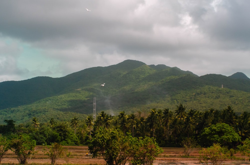 a view of a mountain range with trees and mountains in the background