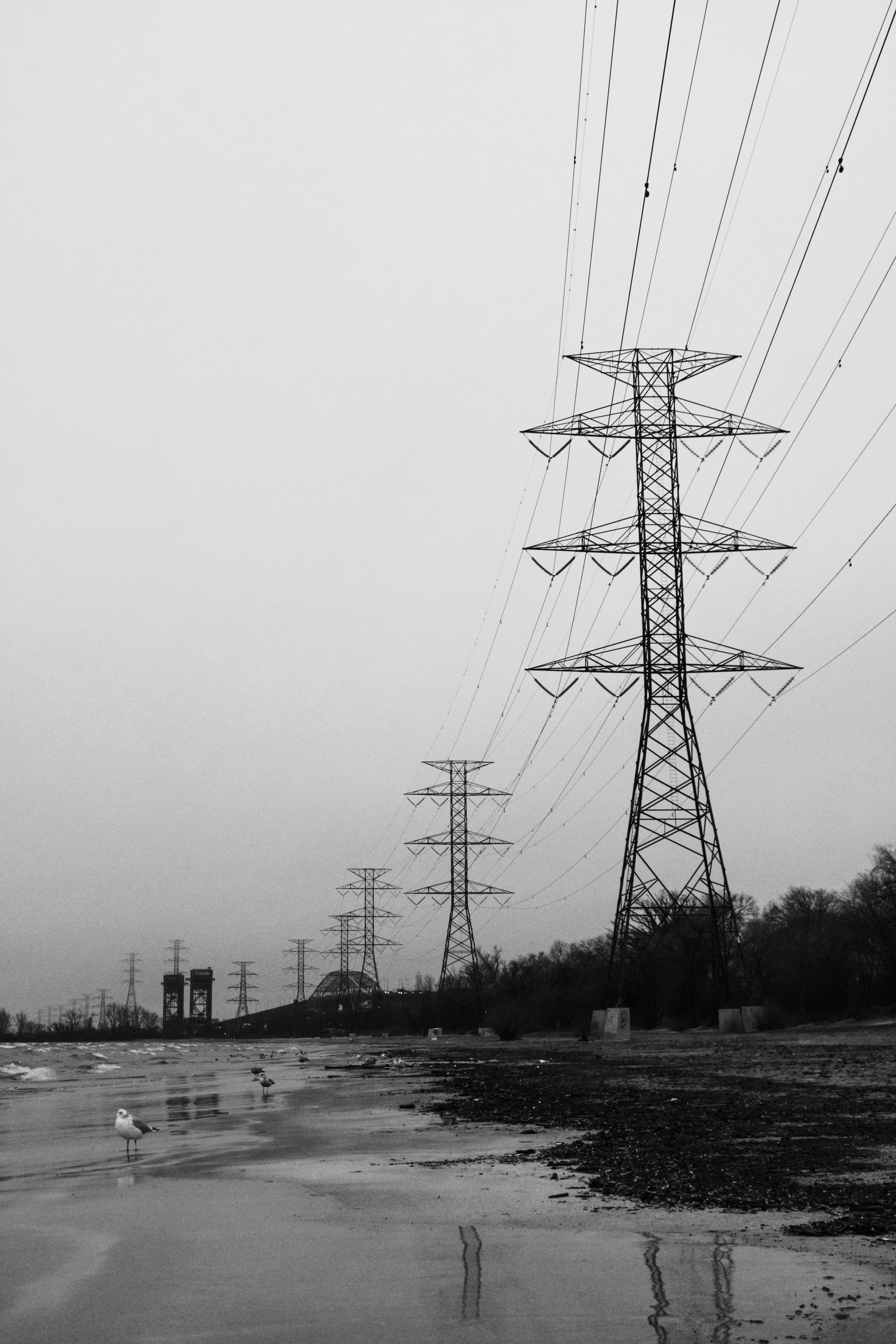 Photo by linusbelanger