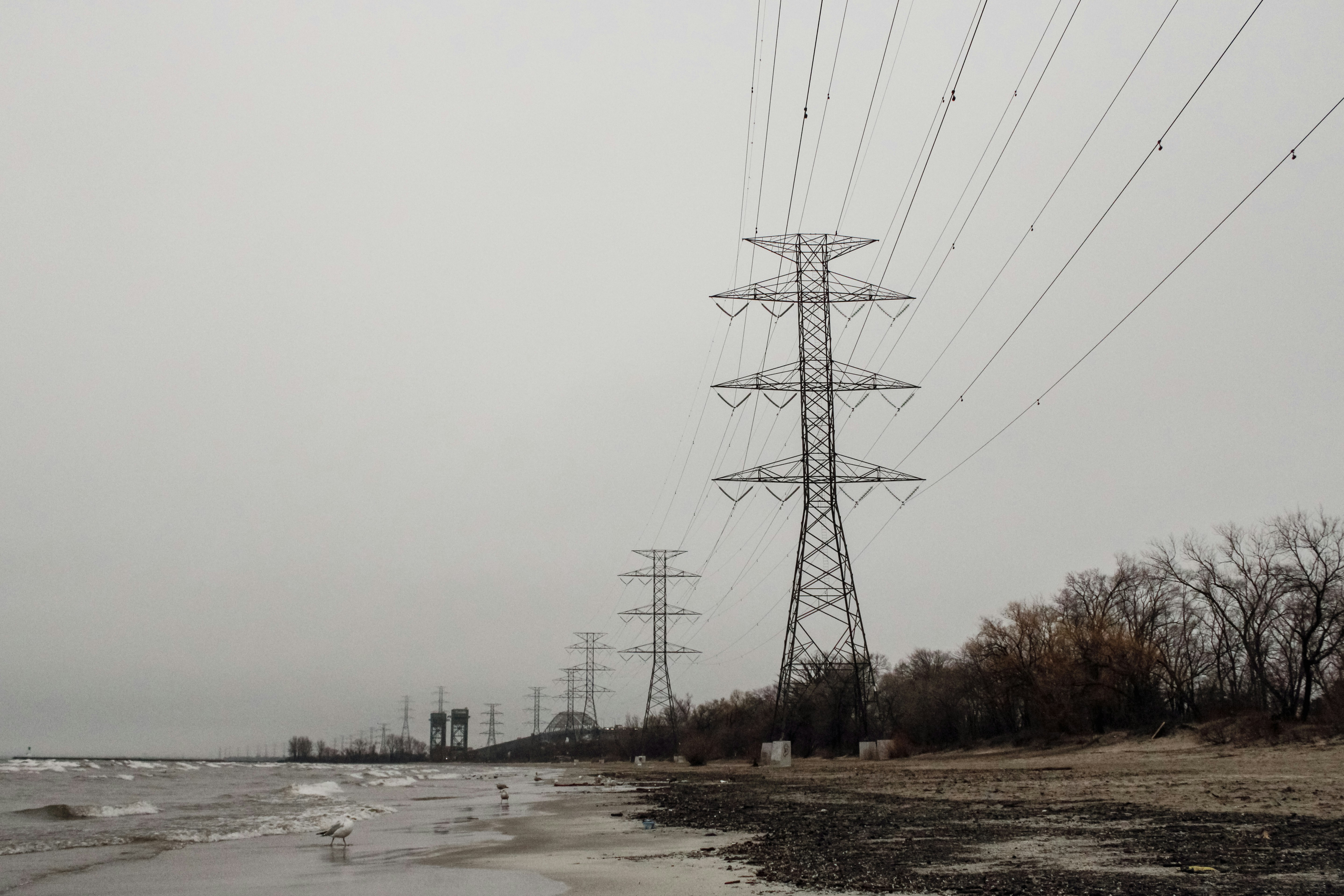 Photo by linusbelanger