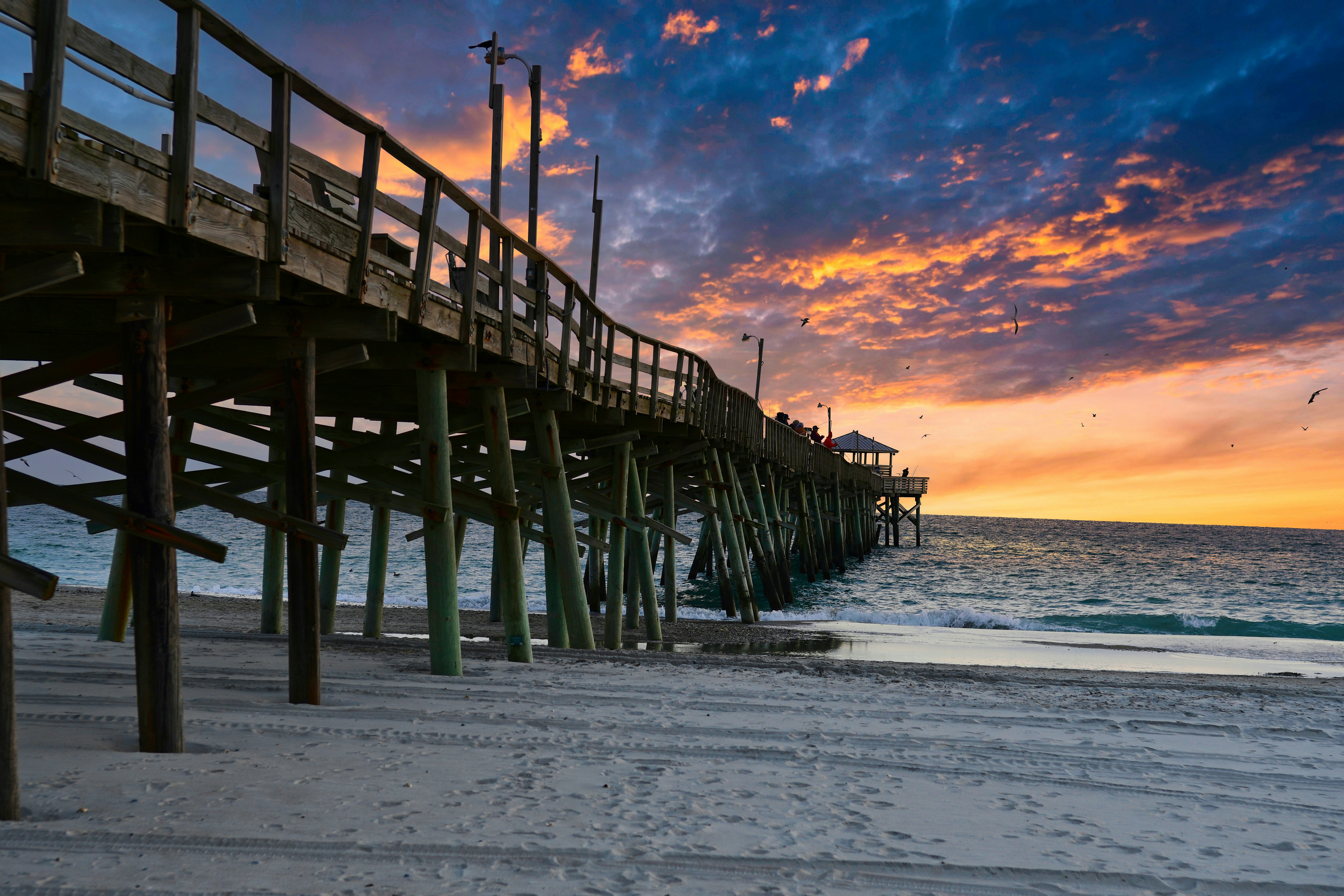 Photo by tazzanderson