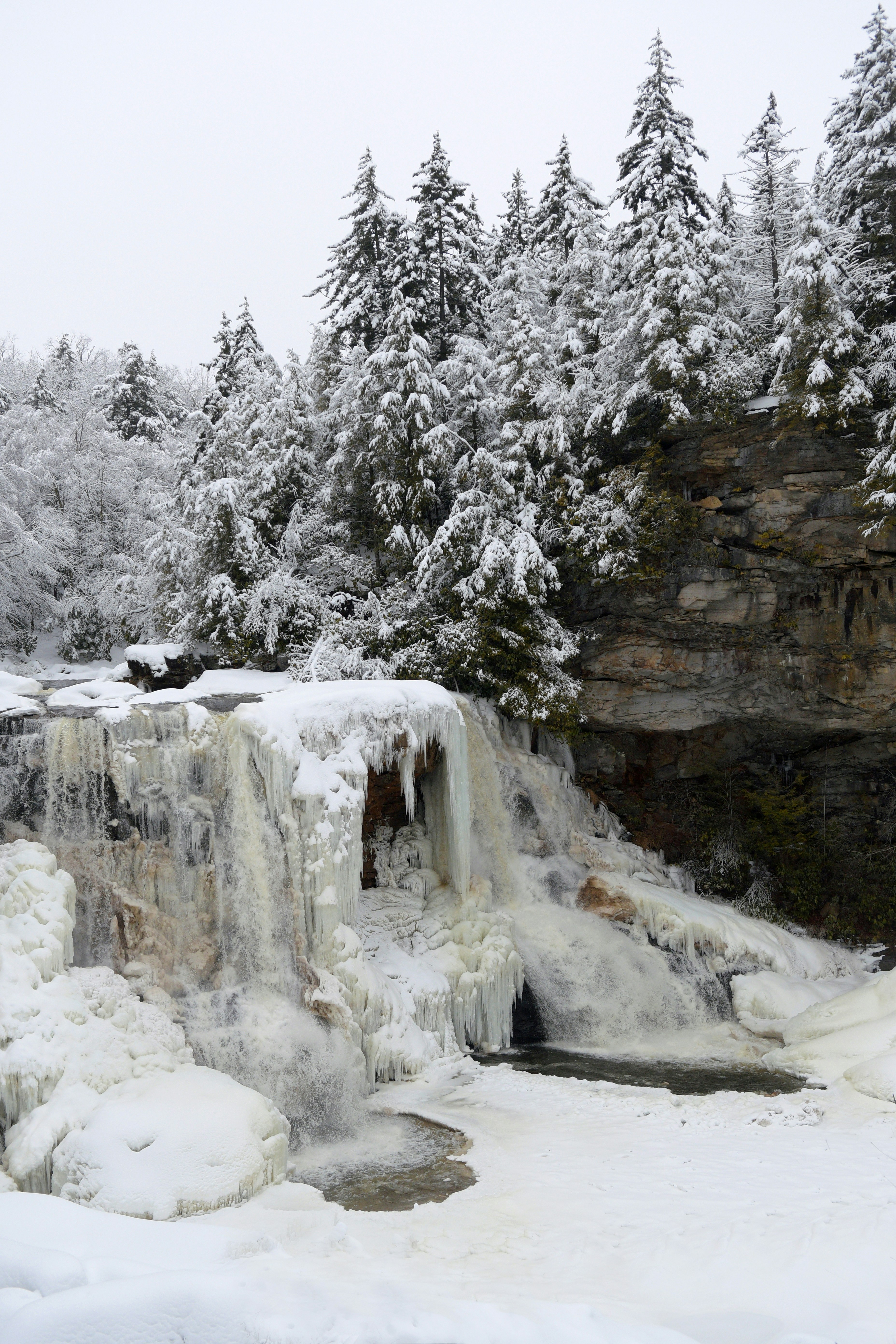 Photo by tazzanderson