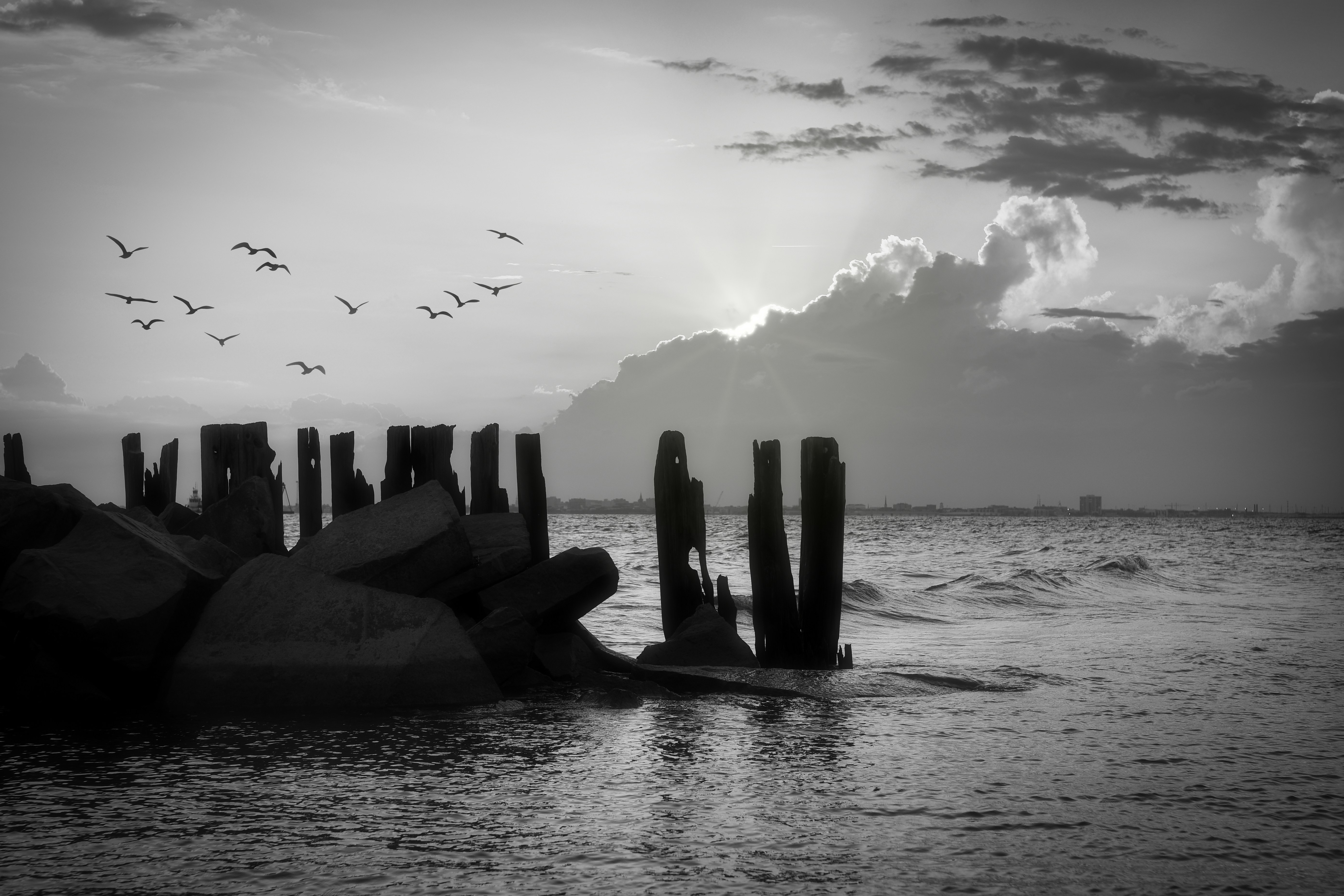 Photo by tazzanderson