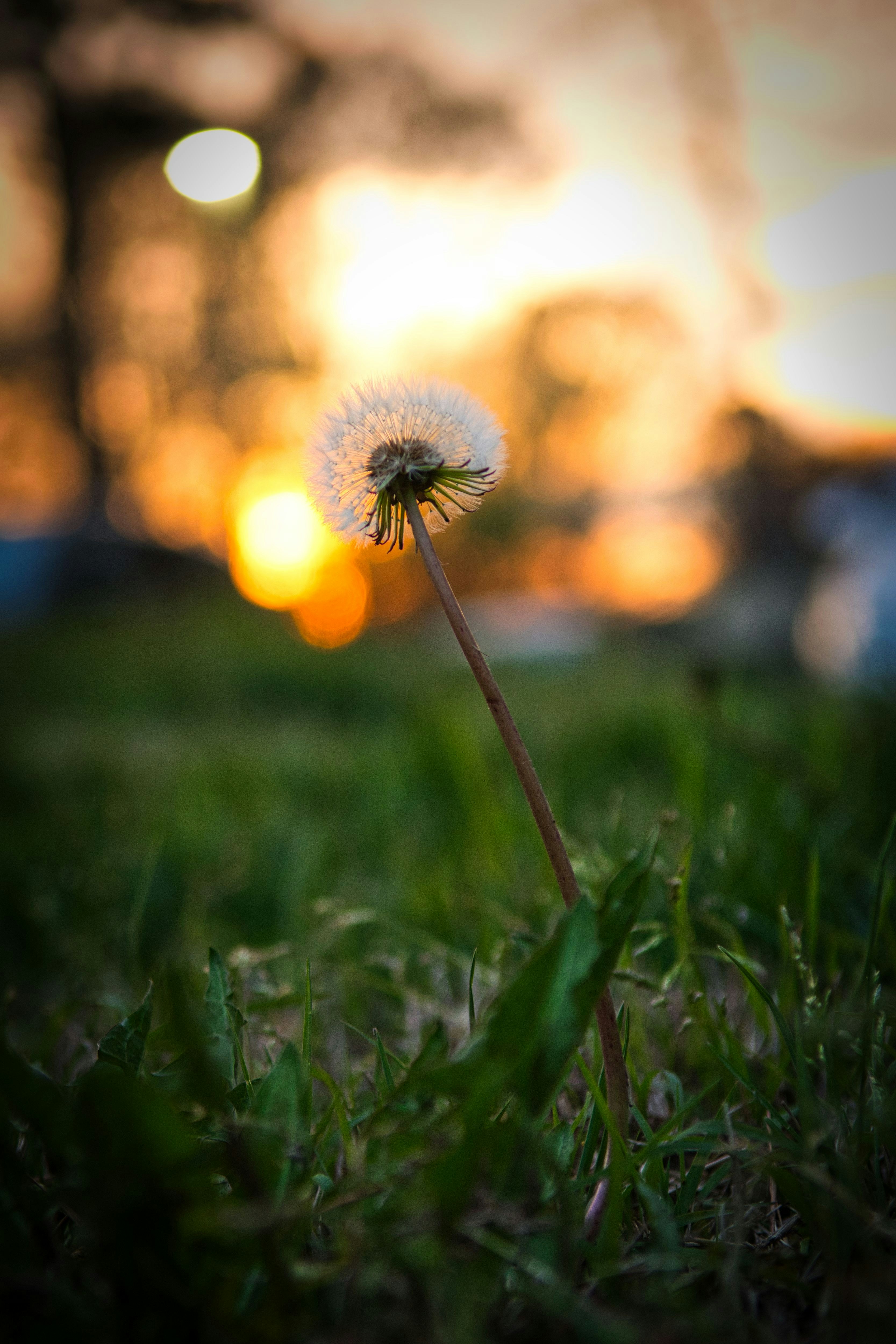 Photo by tazzanderson