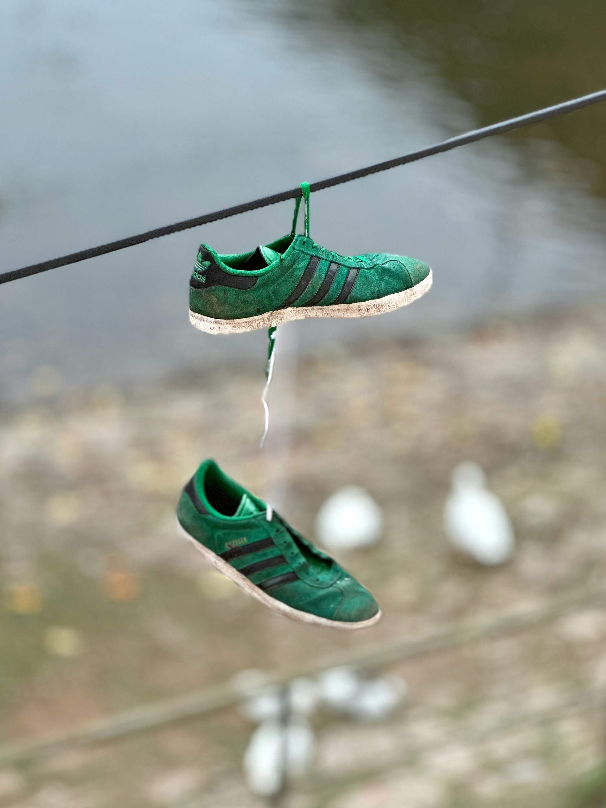 a pair of green tennis shoes hanging from a line