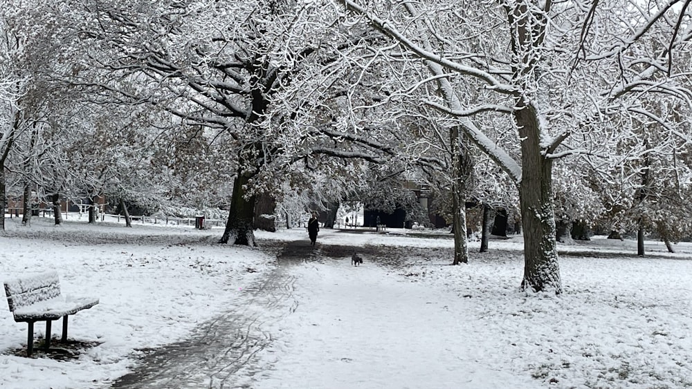 un banc de parc couvert de neige à côté des arbres