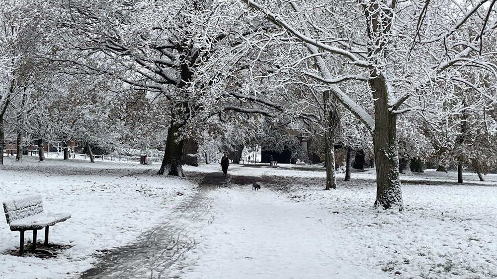 a park bench covered in snow next to trees