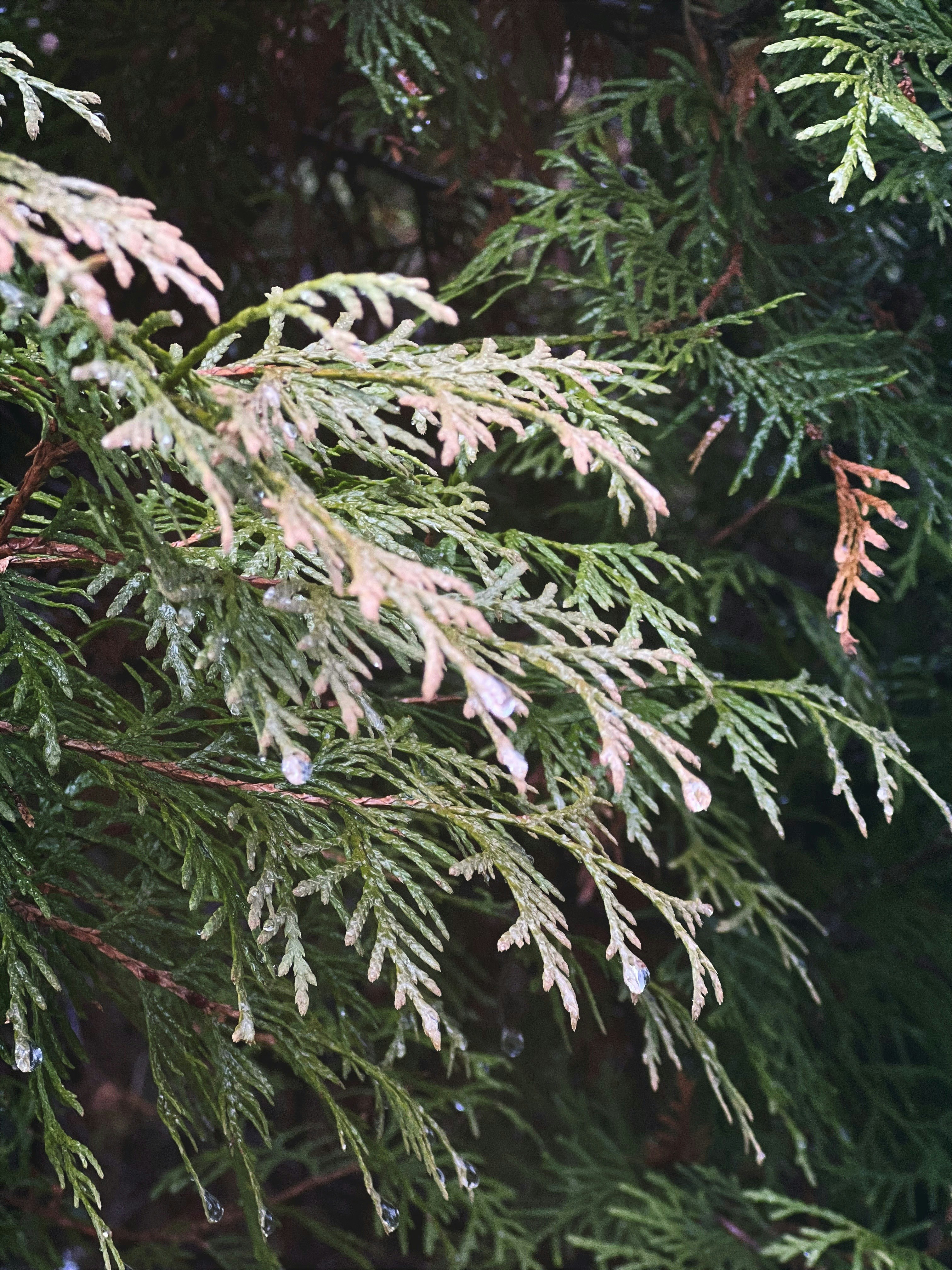 Photo by 19phototomato