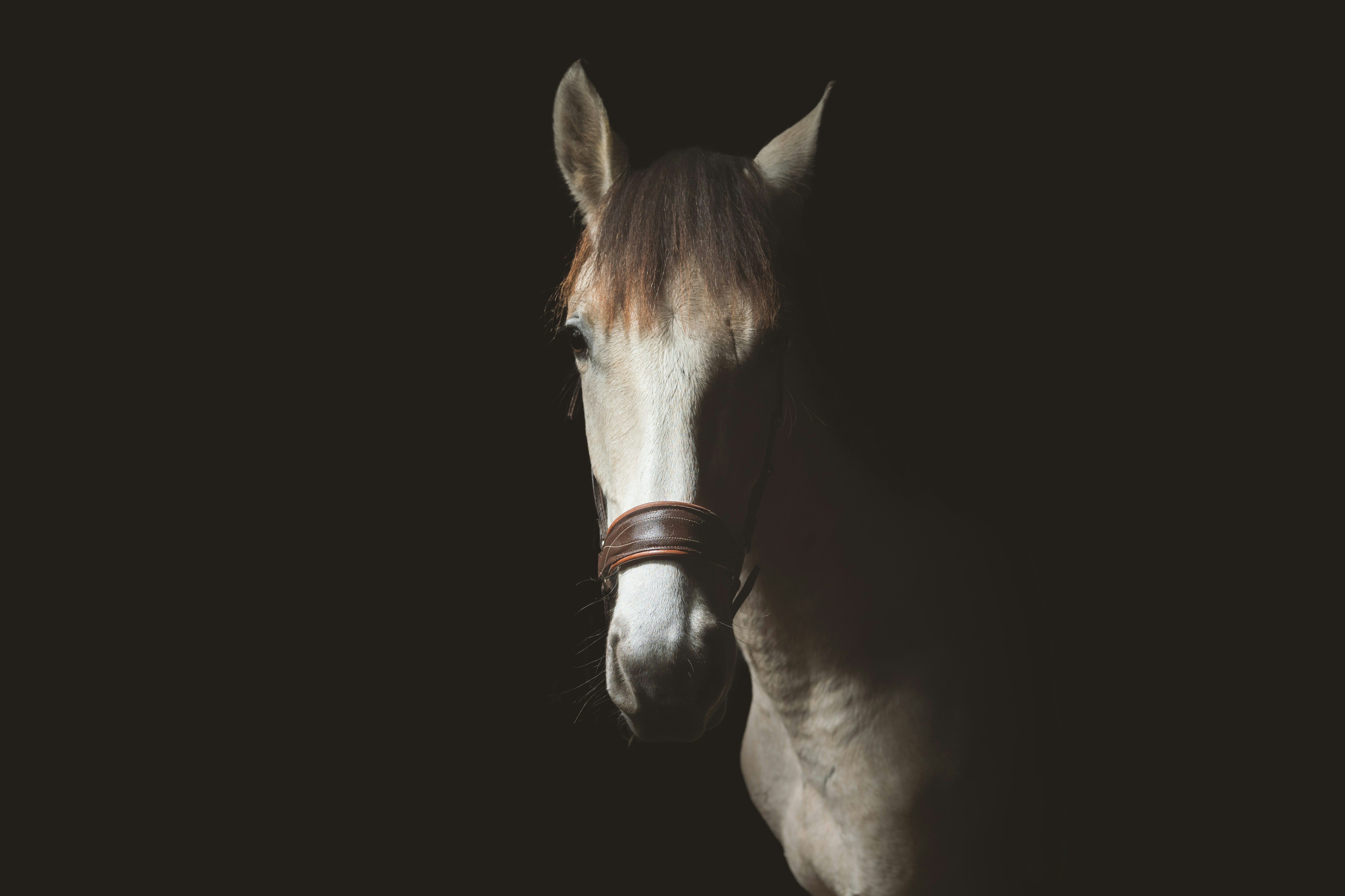 Photo by elmartinbaron