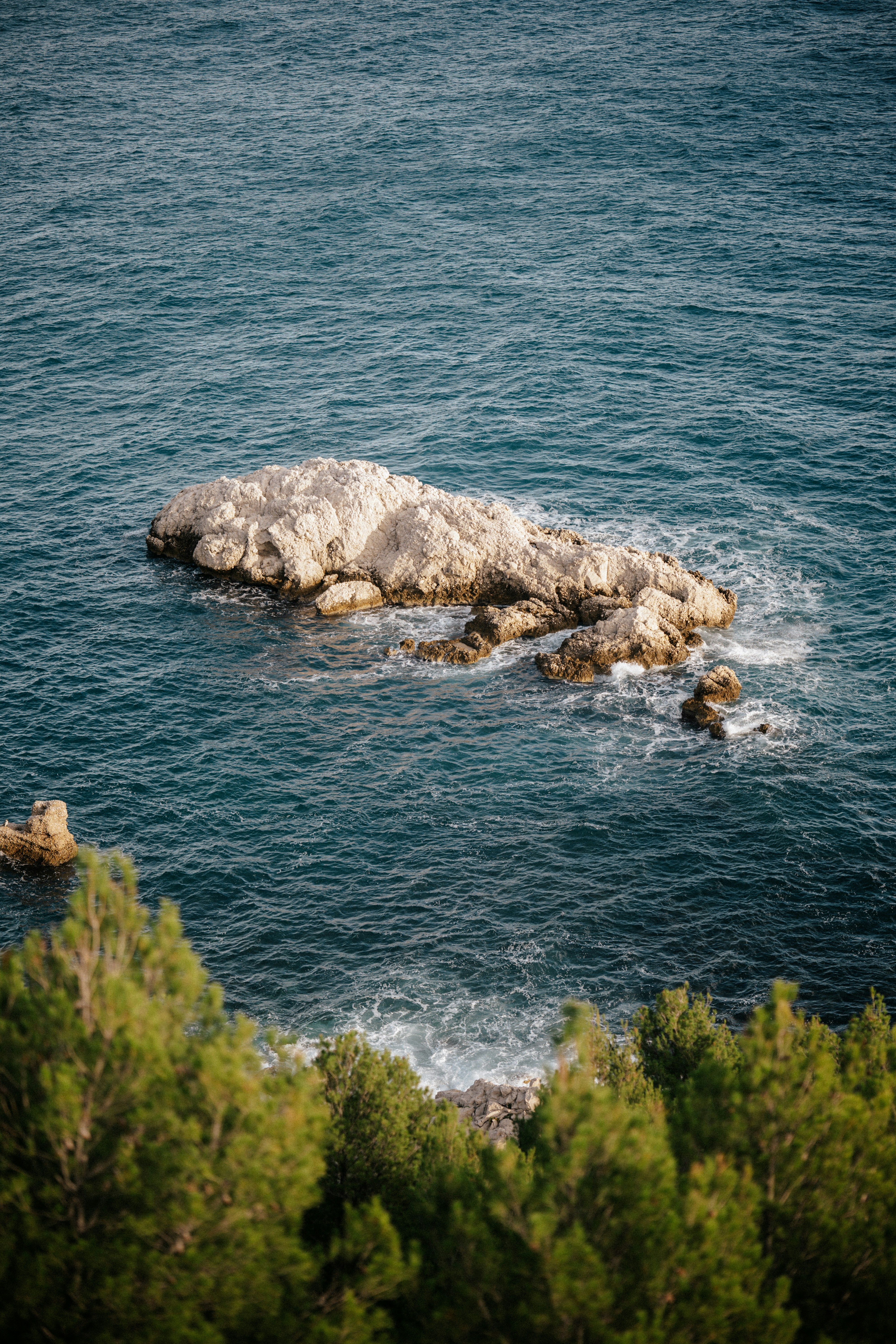 Photo by elmartinbaron