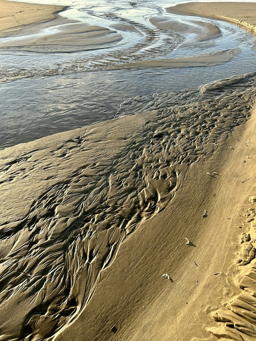 a sandy beach next to a body of water