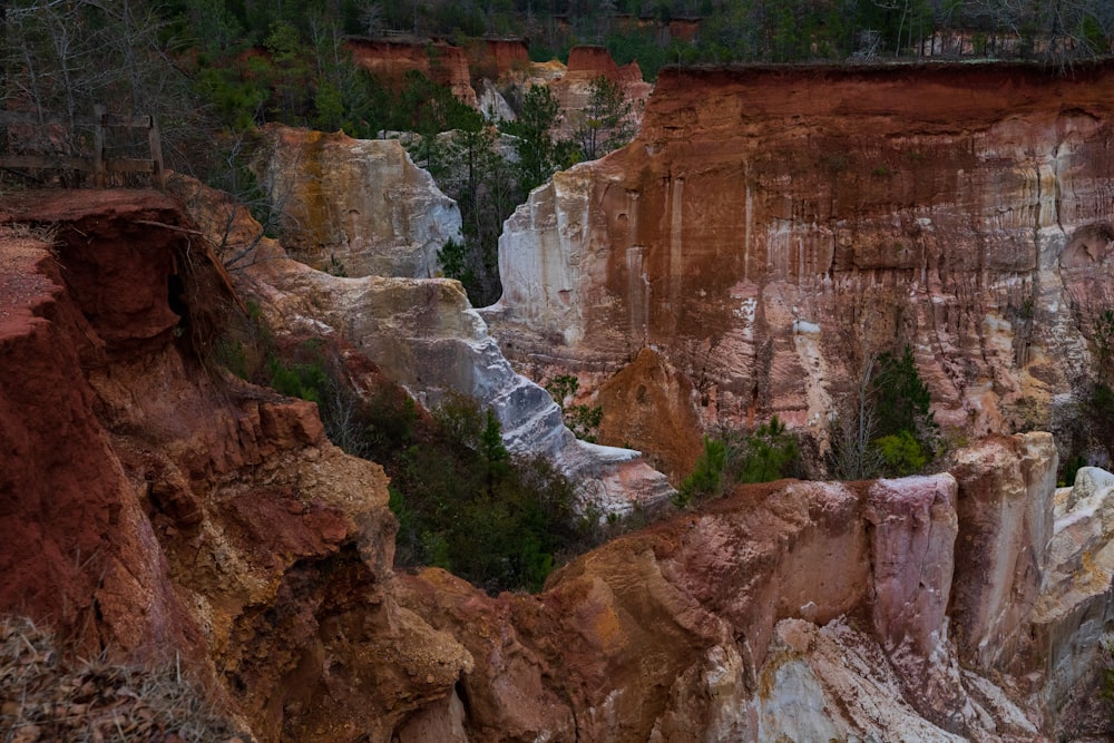 a view of a rocky cliff with trees on the side