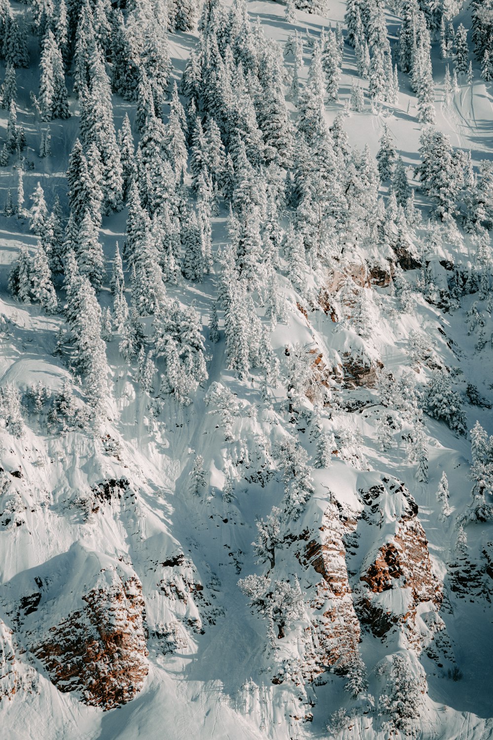 a mountain covered in snow with lots of trees