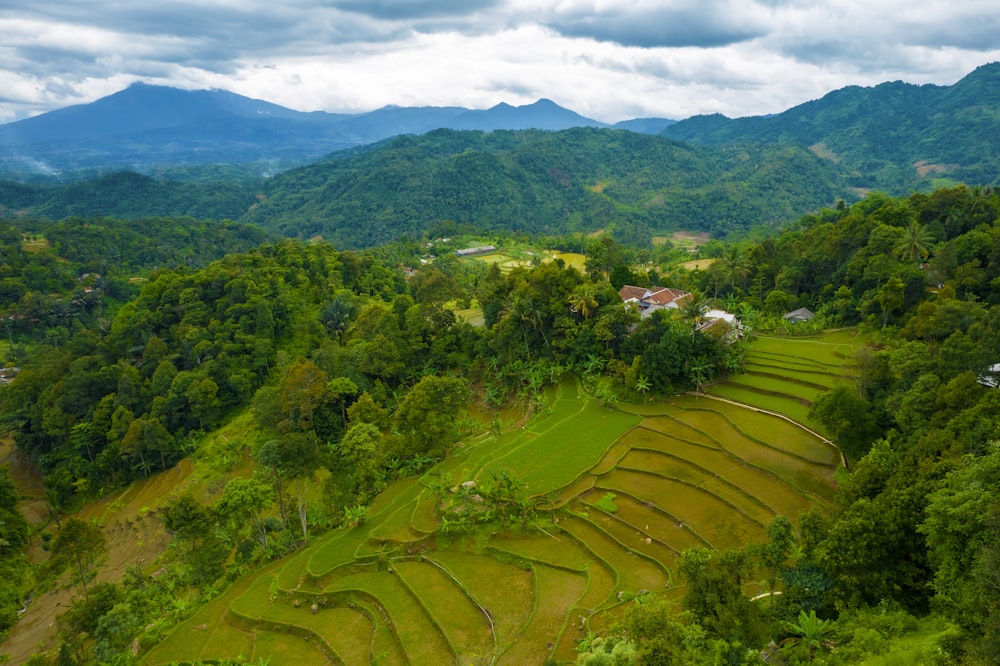 an aerial view of a rice field in the mountains