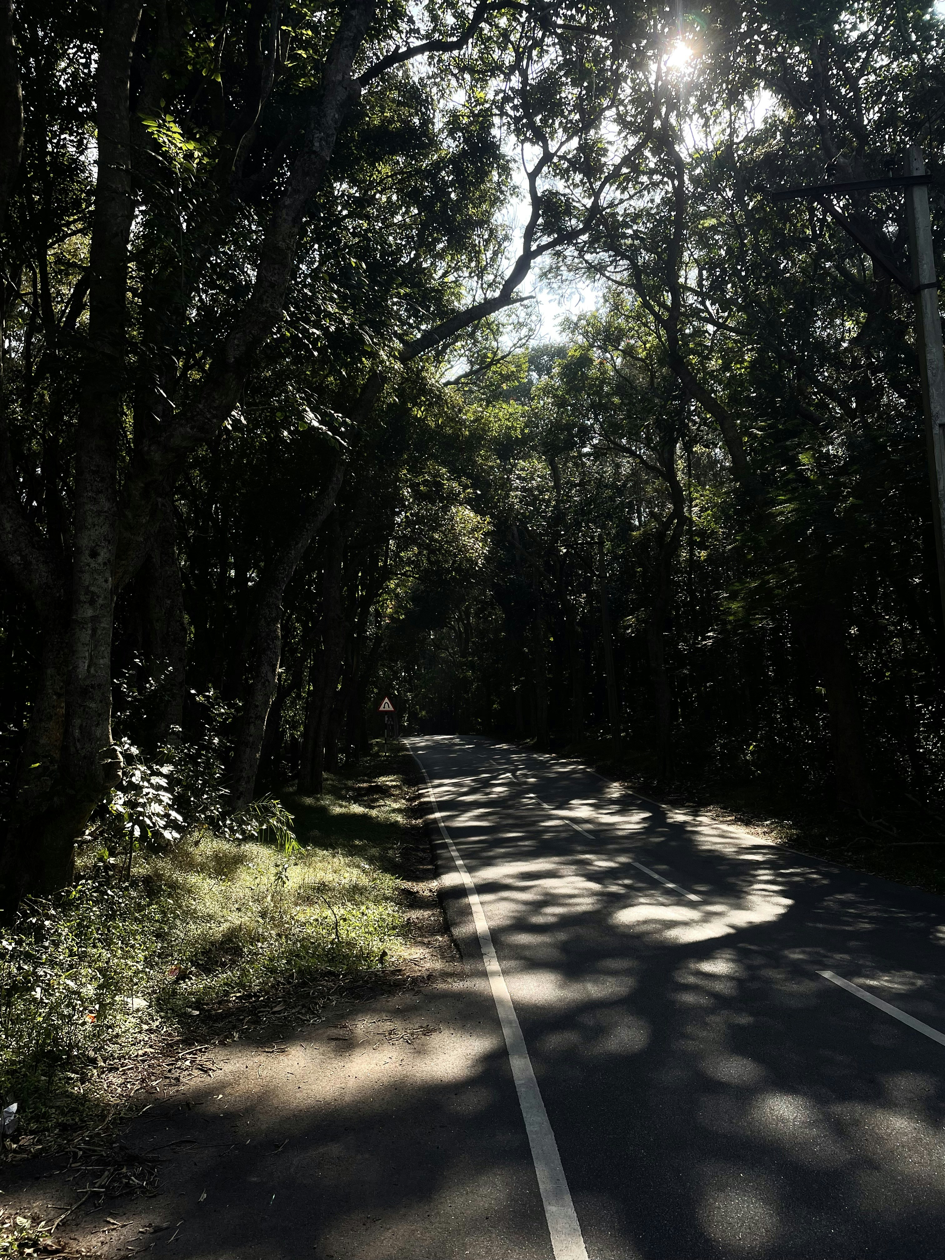 Photo by sujeeth_kumar