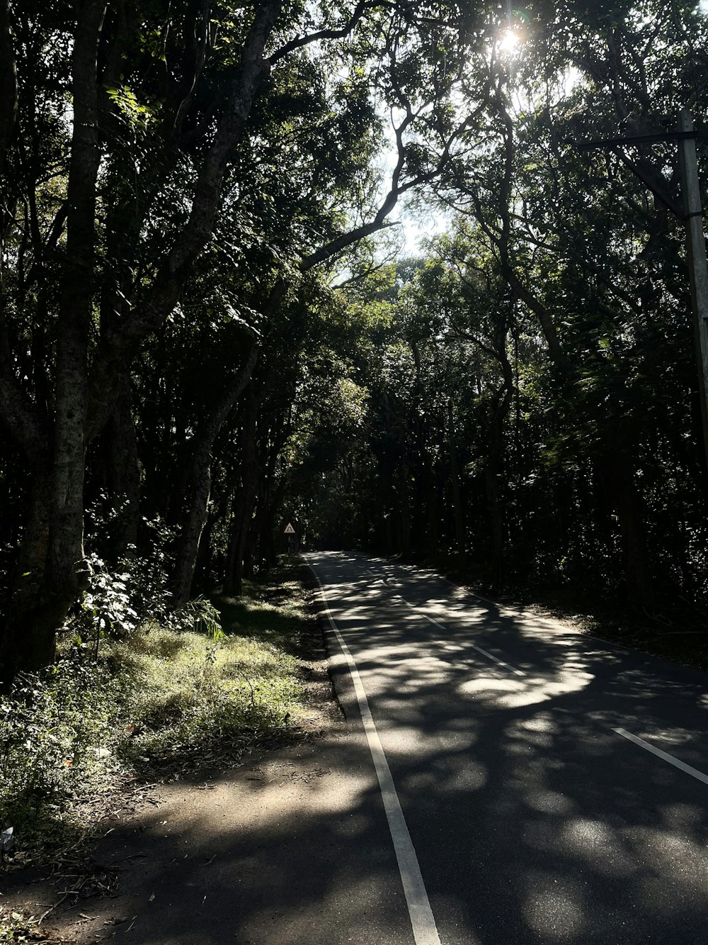 the sun is shining through the trees on the road