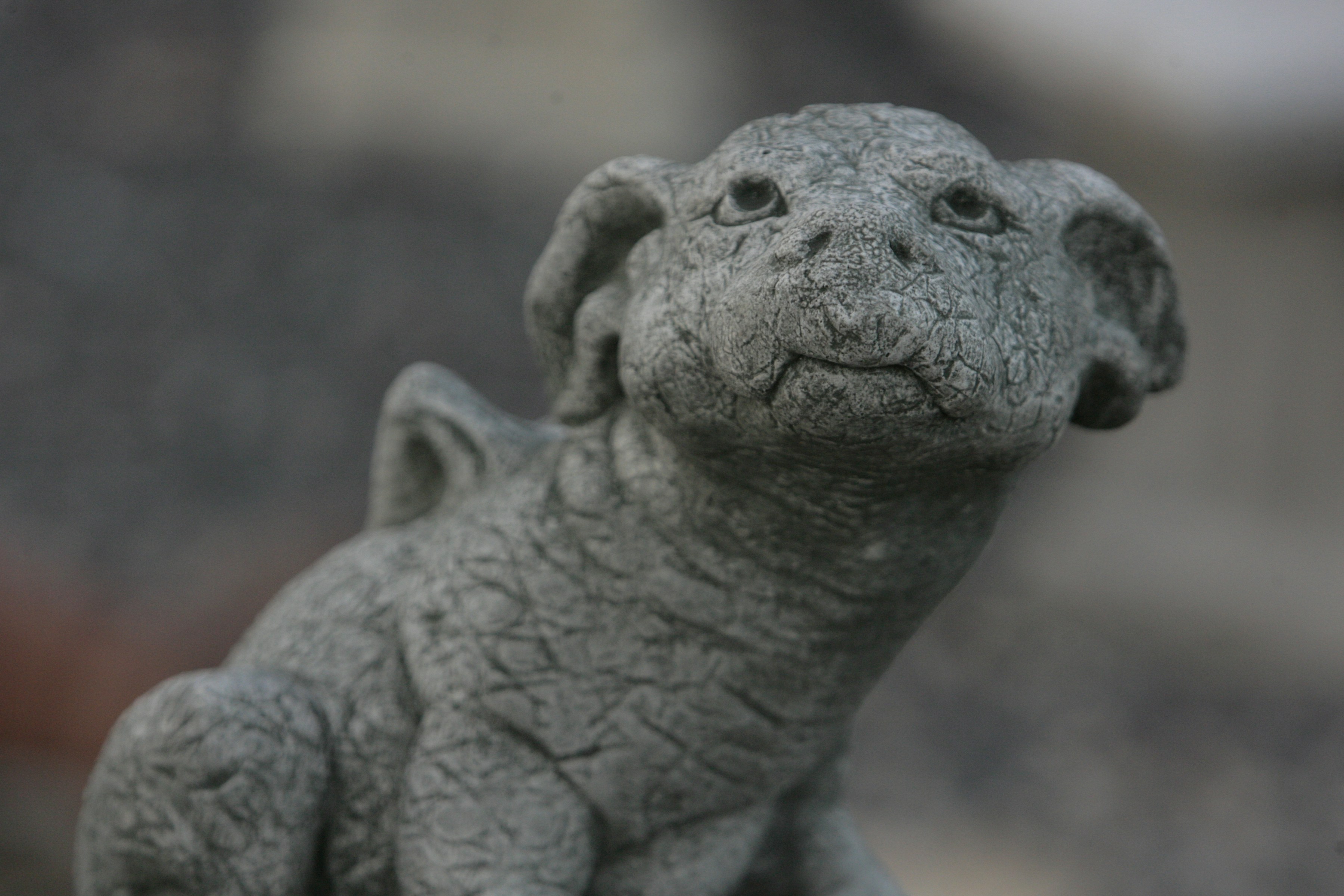 The Shy Boy and the Magical Stone: A Tale of Courage and Redemption