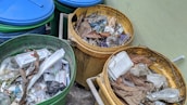 Several trash bins, mostly filled with various types of garbage like plastic bags, leaves, cardboard, and food containers. The bins are different colors, including green and yellow, and are located against a pale wall.