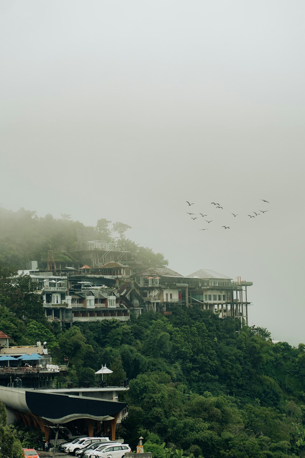 a group of birds flying over a lush green hillside