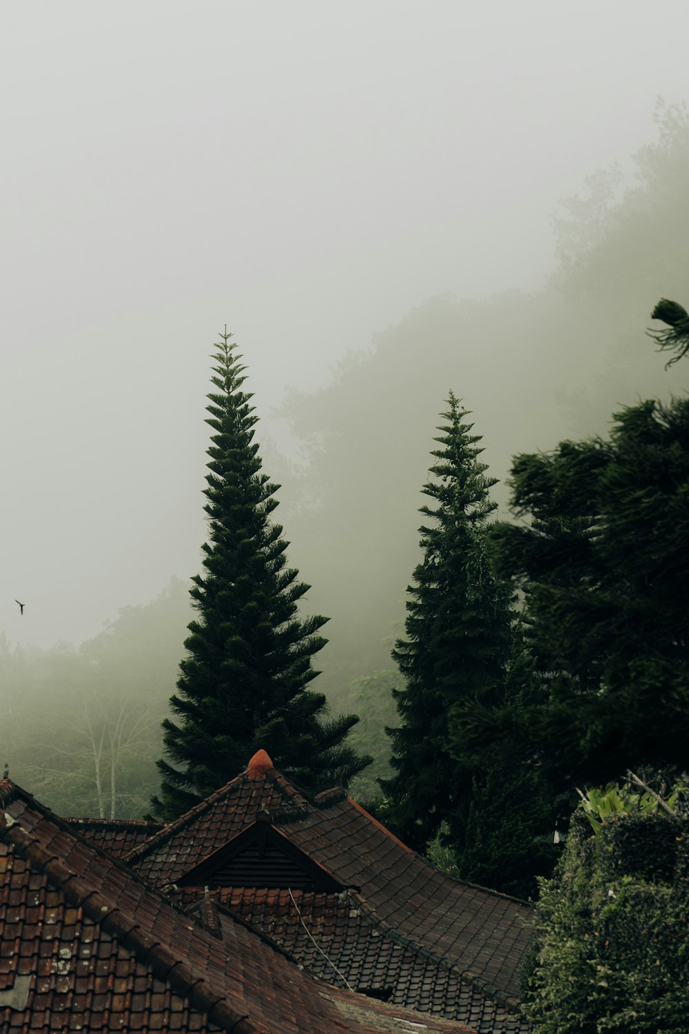 a view of a roof with trees in the background