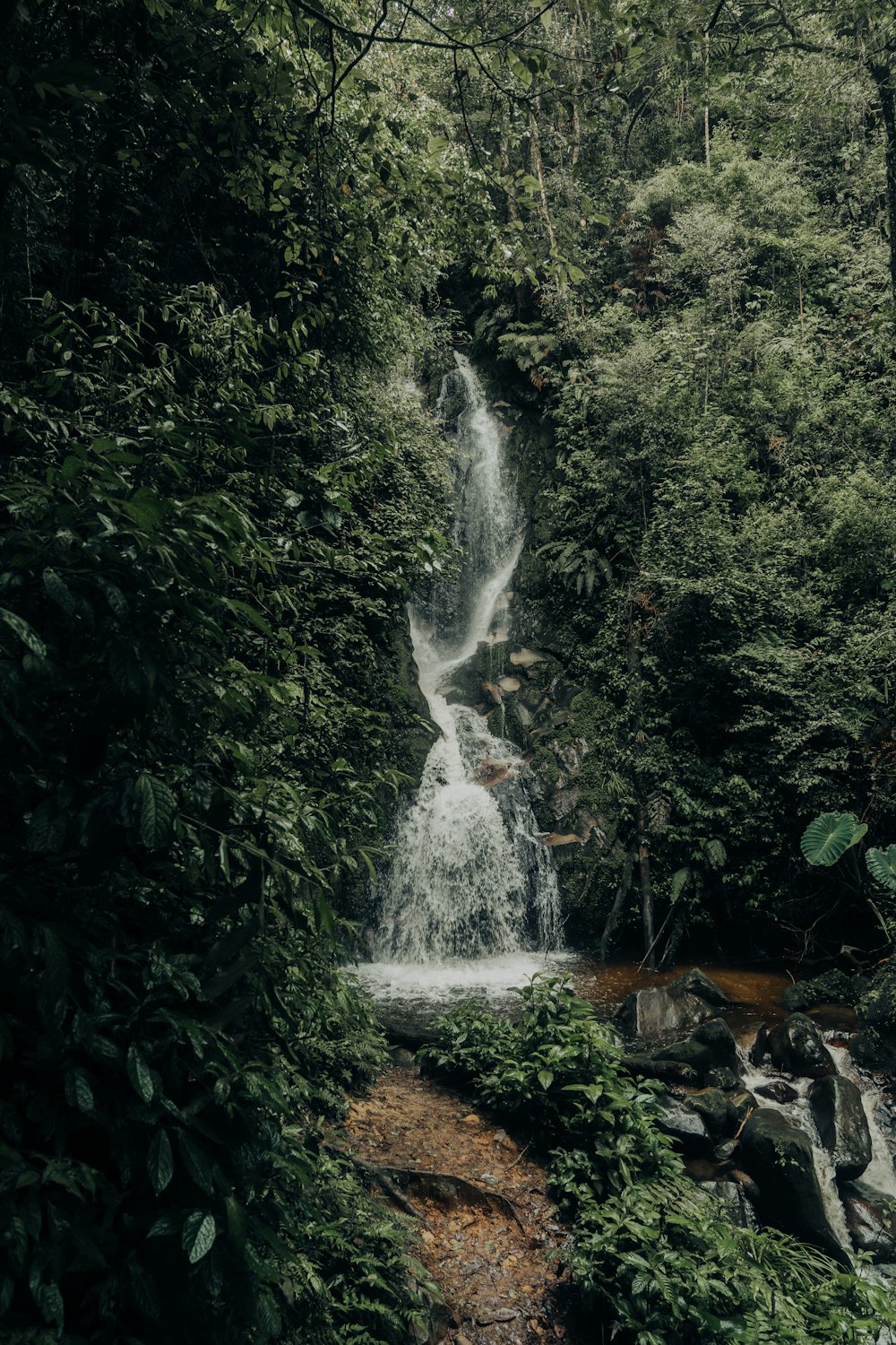 a small waterfall in the middle of a forest