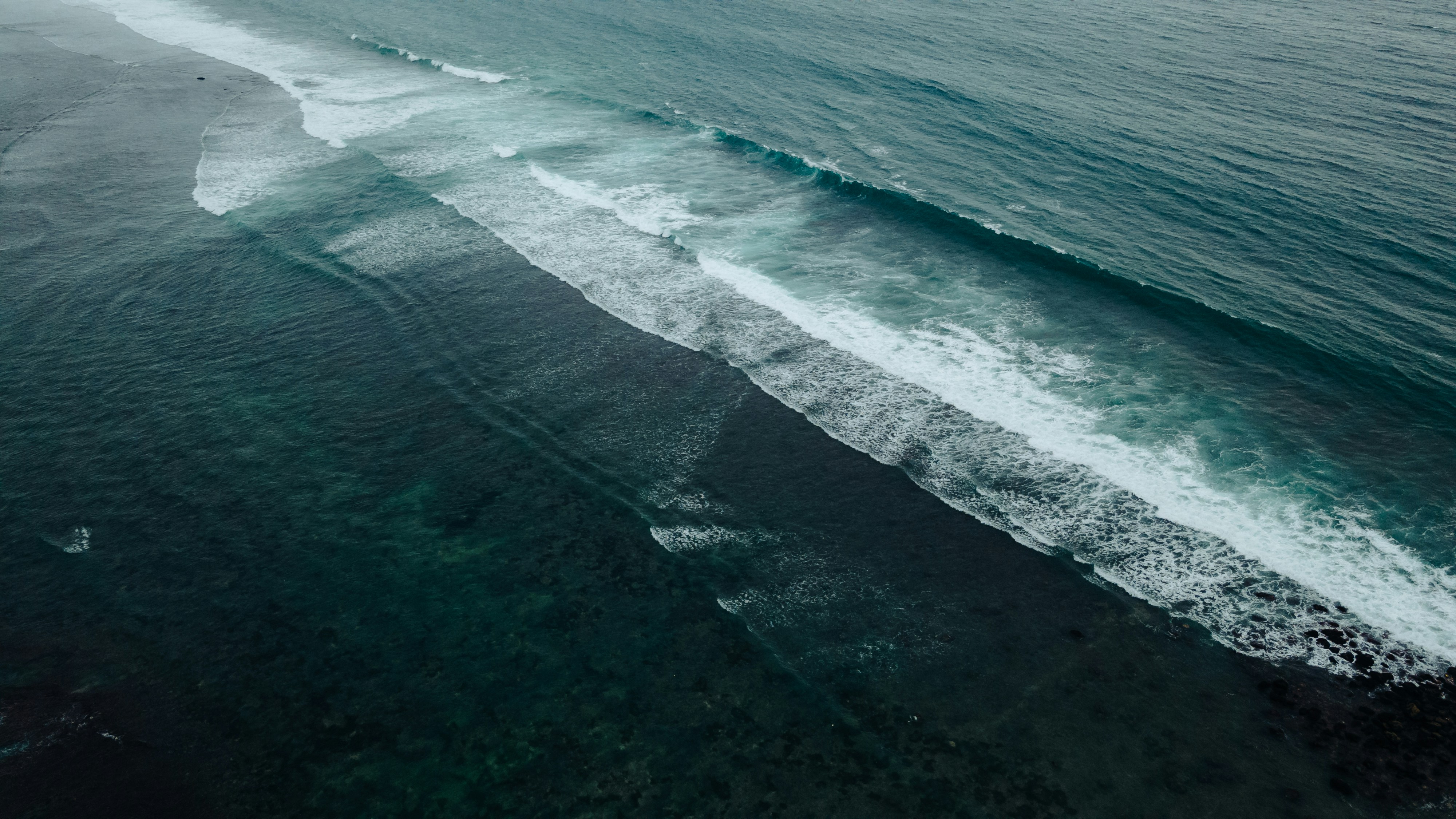 Photo by albertvincentwu