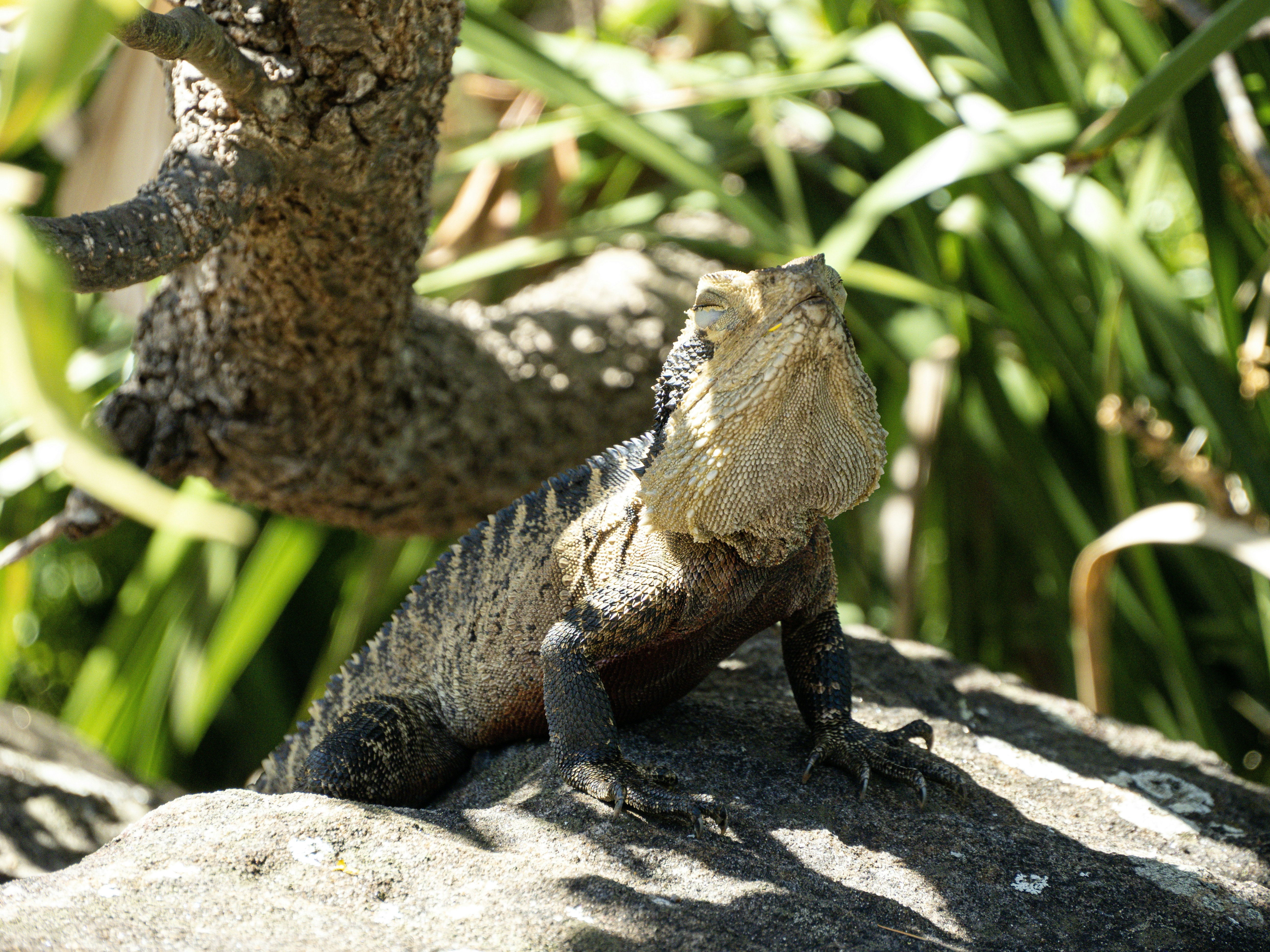 Photo by liefdevoorreizen