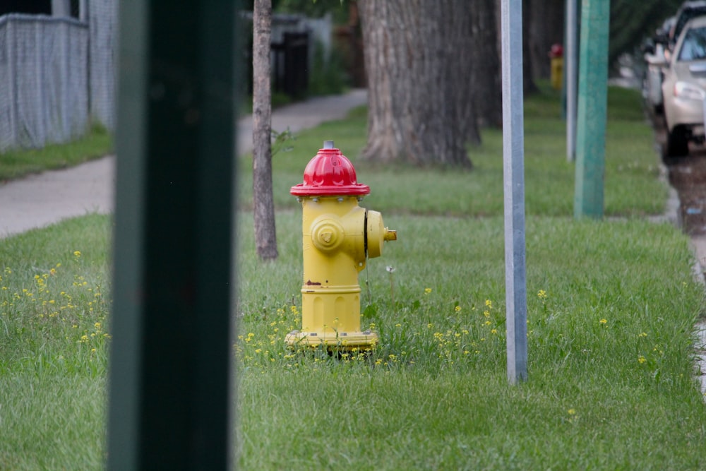 a yellow and red fire hydrant sitting in the grass
