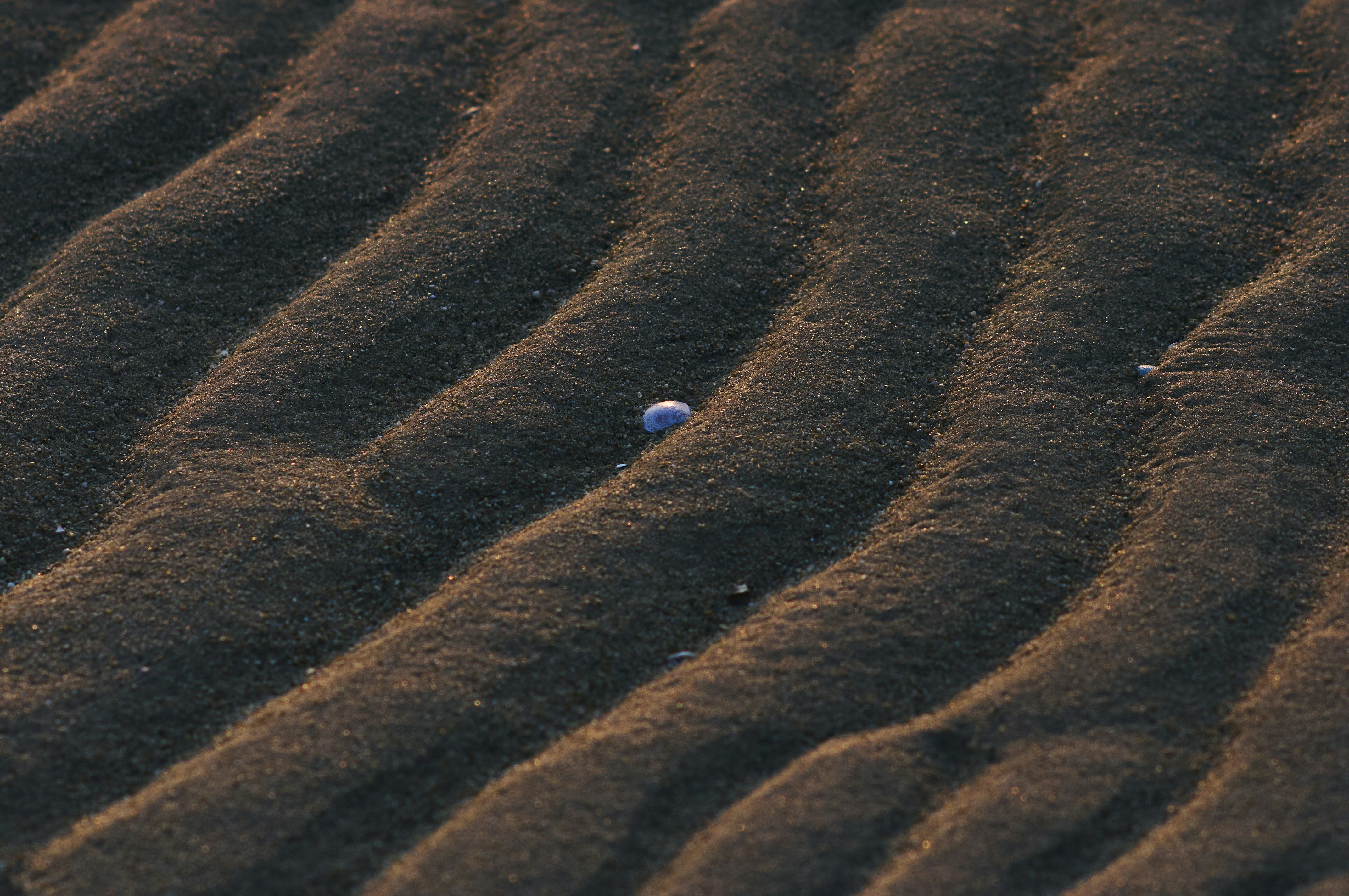 Photo by alexchenbl