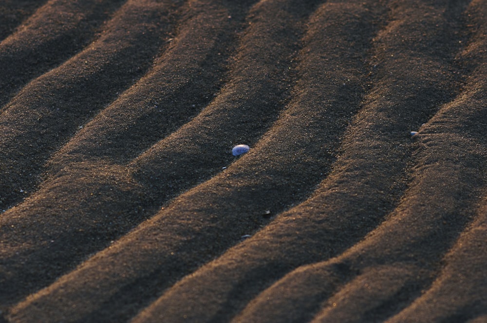 a ball in the sand on a beach