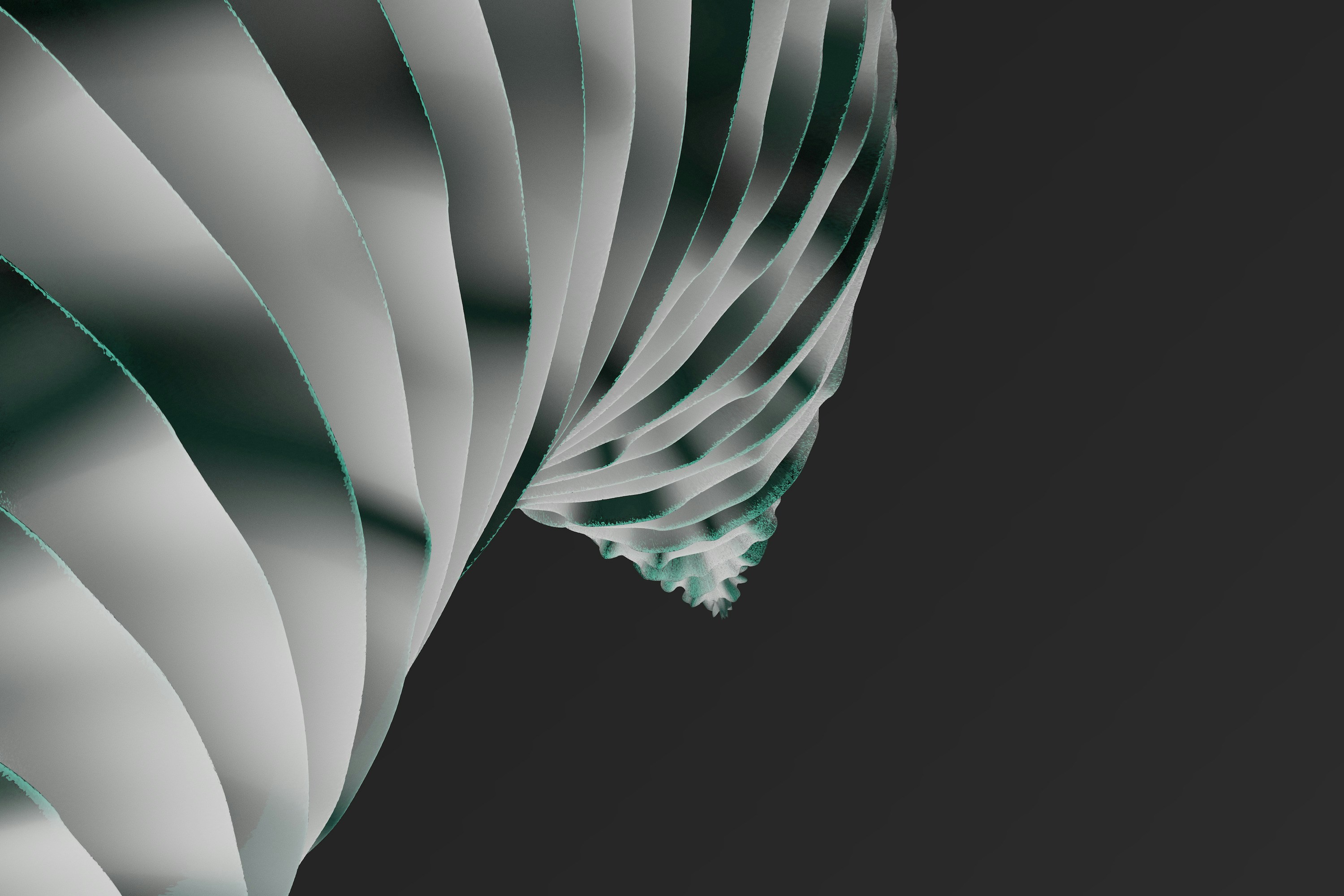 a black and white photo of a curved object, 