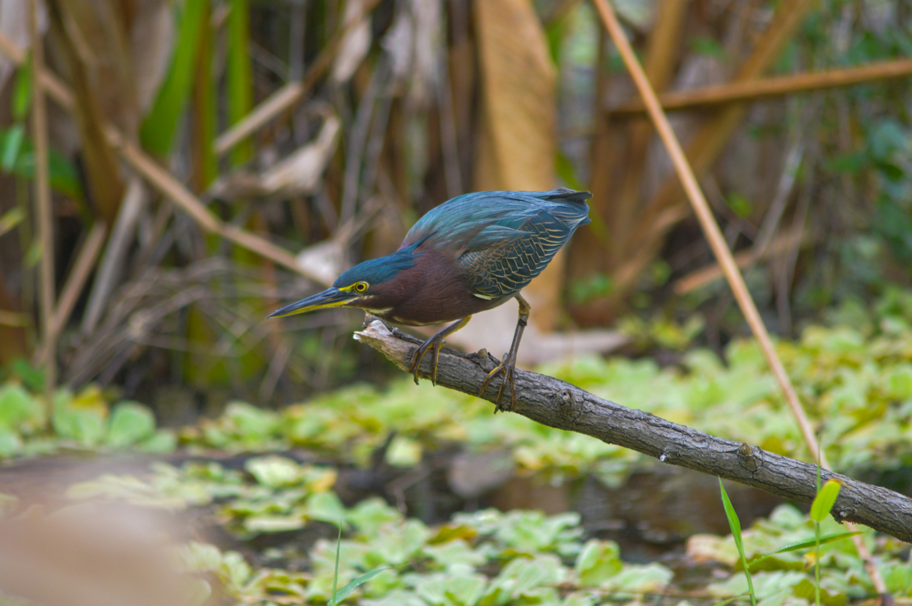 Photo by thisissofiapagan